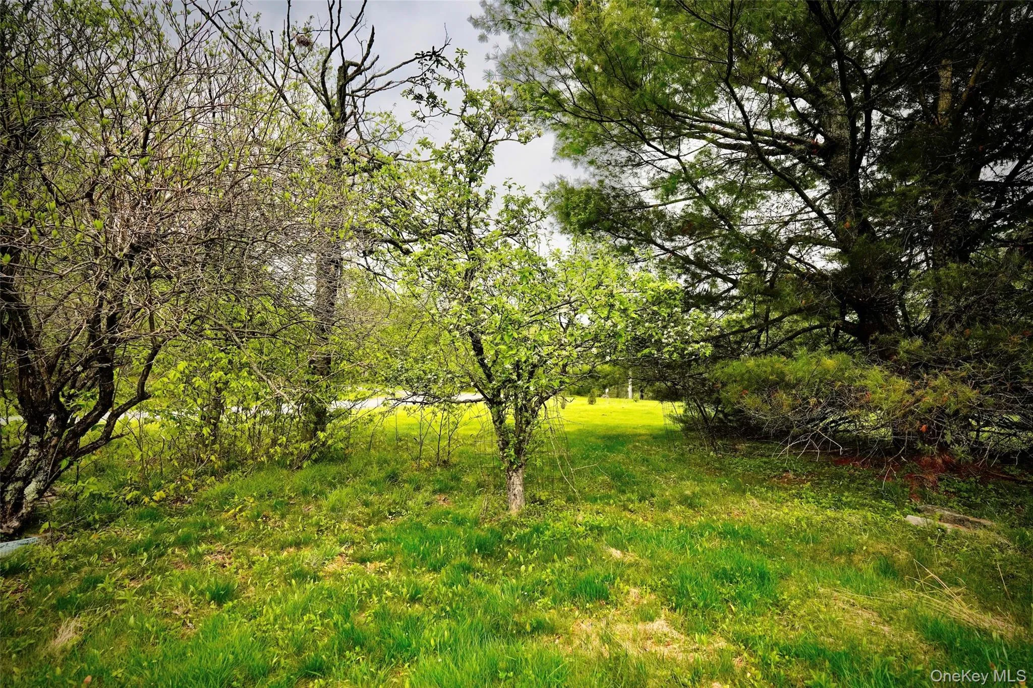 138 Old Hunter Road, Rockland, NY, 2 Bedrooms Bedrooms, 6 Rooms Rooms,2 BathroomsBathrooms,Residential Sale,For Rent,Old Hunter,0,1003751 138 Old Hunter Road, Rockland, NY, 2 Bedrooms Bedrooms, 6 Rooms Rooms,2 BathroomsBathrooms,Residential Sale,For Rent,Old Hunter,0,1003751