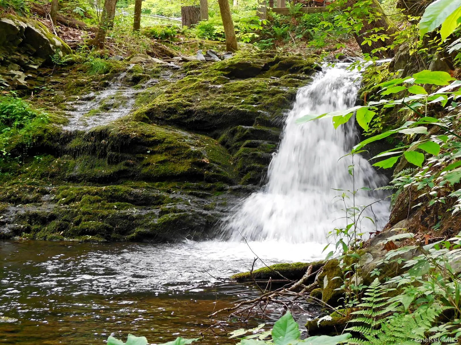 Your own private sanctuary w/ a cool refreshing mountain stream, TWO Cascading Waterfalls & an abundance of nature! Your own private sanctuary w/ a cool refreshing mountain stream, TWO Cascading Waterfalls & an abundance of nature!