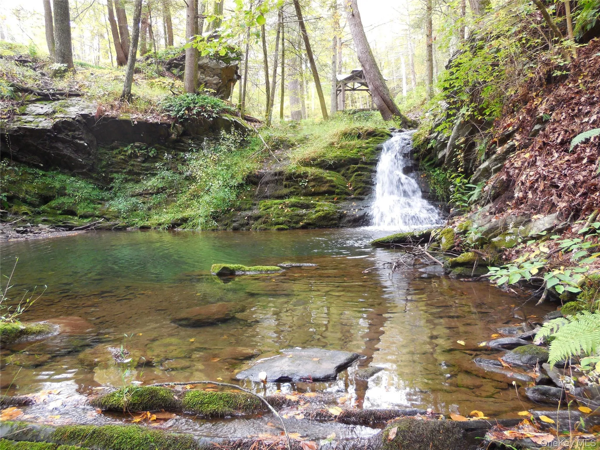 Listen to the sounds of nature, enjoy a cool refreshing dip, a delicious meal under the gazebo, star gaze by the fire all while never leaving home. Listen to the sounds of nature, enjoy a cool refreshing dip, a delicious meal under the gazebo, star gaze by the fire all while never leaving home.