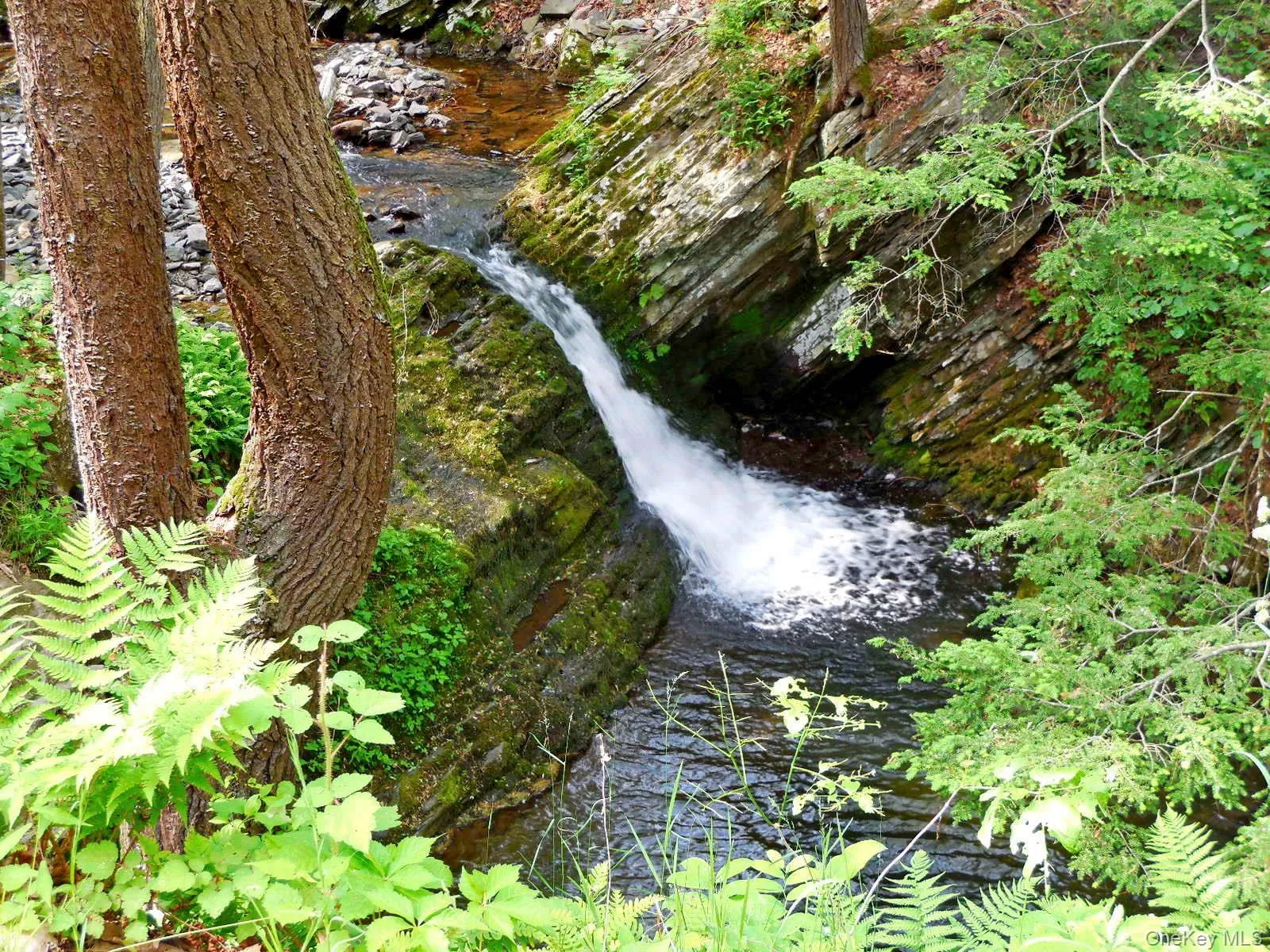 Surrounded by nature ~ Serine & Beautiful! Surrounded by nature ~ Serine & Beautiful!