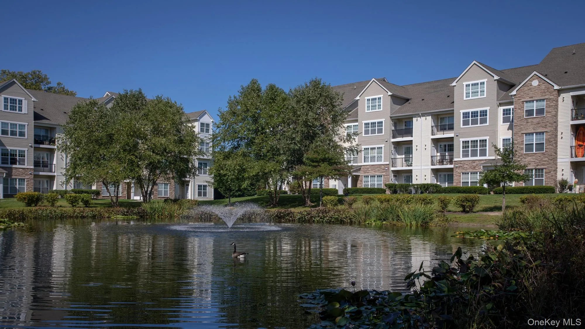 1 Charles Pond Drive, Brookhaven, NY, 1 Bedroom Bedrooms, 4 Rooms Rooms,1 BathroomBathrooms,Residential Lease,For Rent,Charles Pond,0,1003762 1 Charles Pond Drive, Brookhaven, NY, 1 Bedroom Bedrooms, 4 Rooms Rooms,1 BathroomBathrooms,Residential Lease,For Rent,Charles Pond,0,1003762