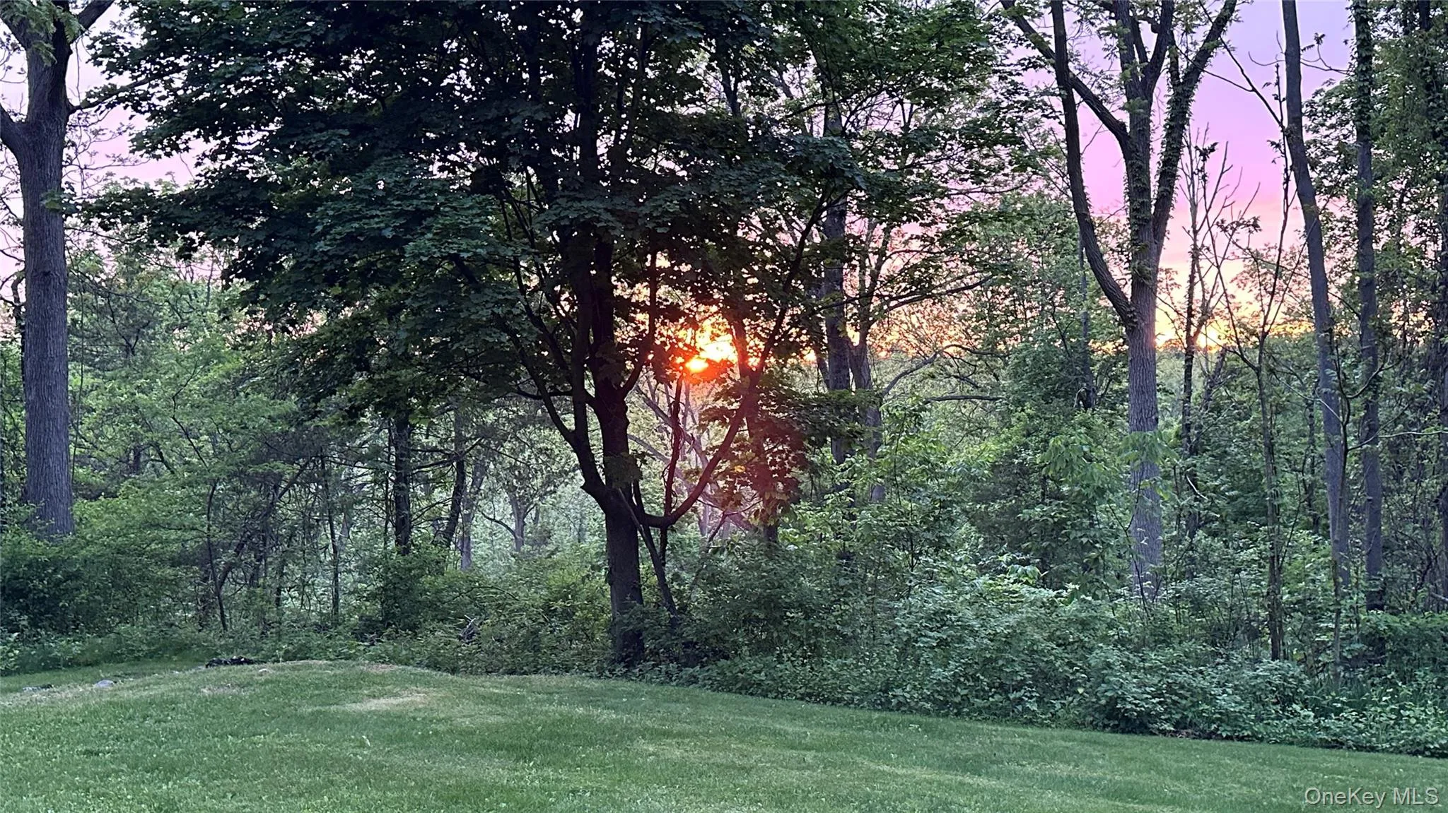 60 Shirley Avenue, Fishkill, NY, 3 Bedrooms Bedrooms, 7 Rooms Rooms,2 BathroomsBathrooms,Residential,For Rent,Shirley,0,1003764 60 Shirley Avenue, Fishkill, NY, 3 Bedrooms Bedrooms, 7 Rooms Rooms,2 BathroomsBathrooms,Residential,For Rent,Shirley,0,1003764
