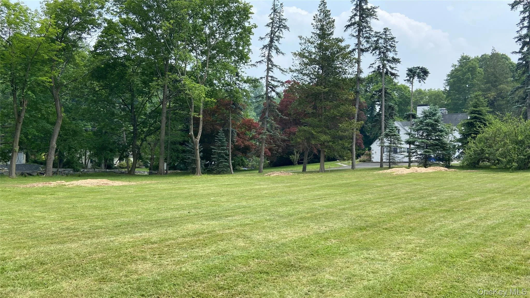 18 Lincoln Avenue, Rye Town, NY, 4 Bedrooms Bedrooms, 13 Rooms Rooms,3 BathroomsBathrooms,Residential,For Rent,Lincoln,0,1003772 18 Lincoln Avenue, Rye Town, NY, 4 Bedrooms Bedrooms, 13 Rooms Rooms,3 BathroomsBathrooms,Residential,For Rent,Lincoln,0,1003772