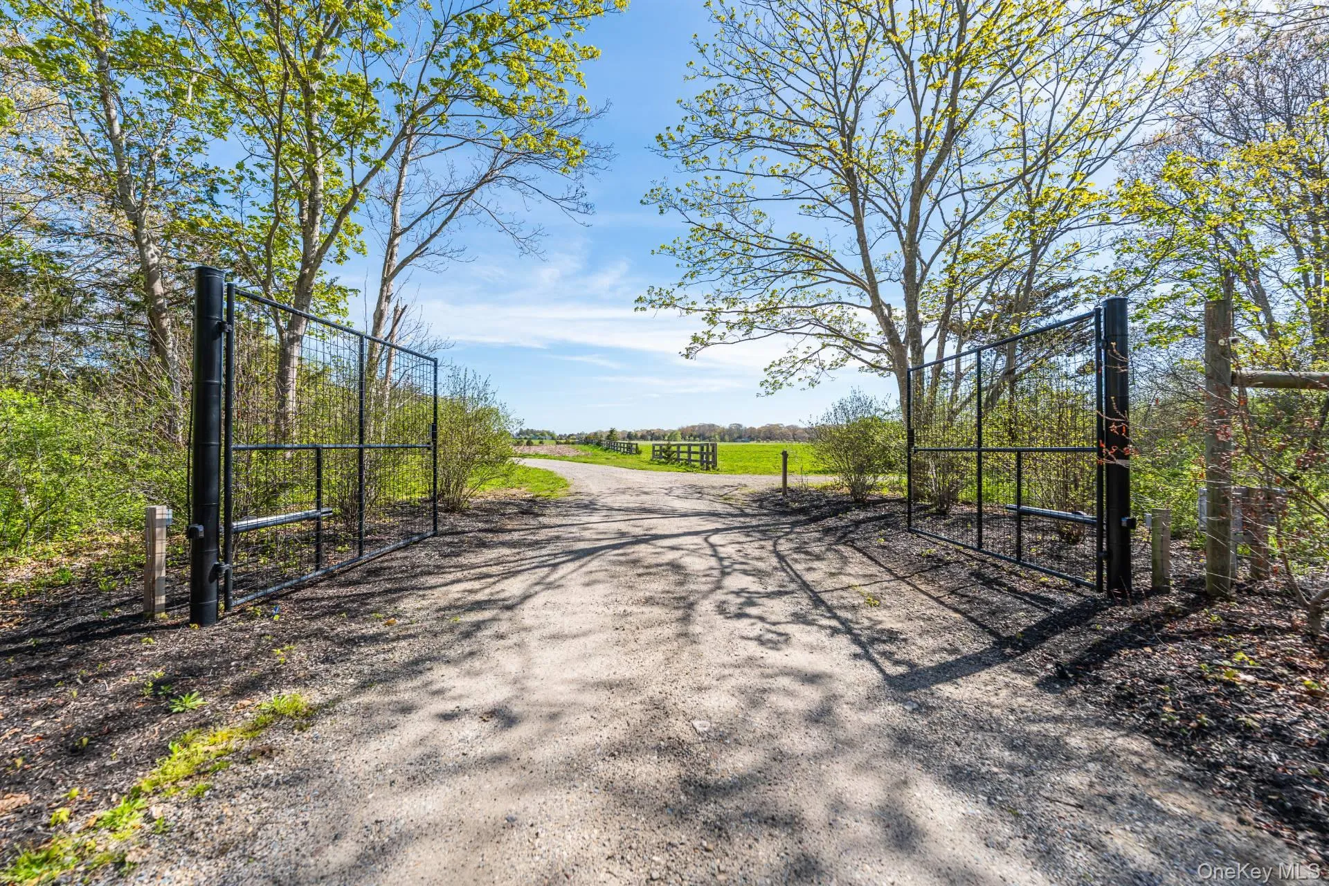3123 & 3595 Skunk Lane, Southold, NY, ,Land,For Rent,Skunk,0,1003778 3123 & 3595 Skunk Lane, Southold, NY, ,Land,For Rent,Skunk,0,1003778