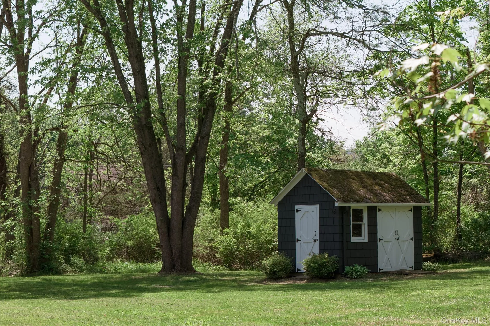 185 Verbank Village Road, Union Vale, NY, 3 Bedrooms Bedrooms, 11 Rooms Rooms,2 BathroomsBathrooms,Residential,For Rent,Verbank Village,0,1003781 185 Verbank Village Road, Union Vale, NY, 3 Bedrooms Bedrooms, 11 Rooms Rooms,2 BathroomsBathrooms,Residential,For Rent,Verbank Village,0,1003781