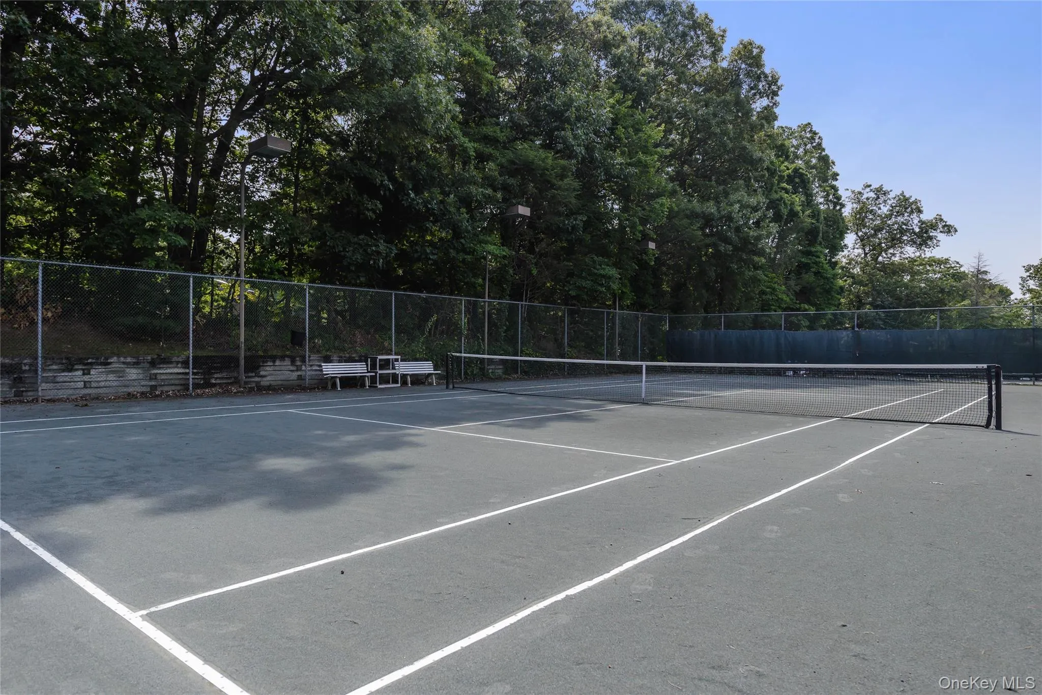 Tennis Tennis