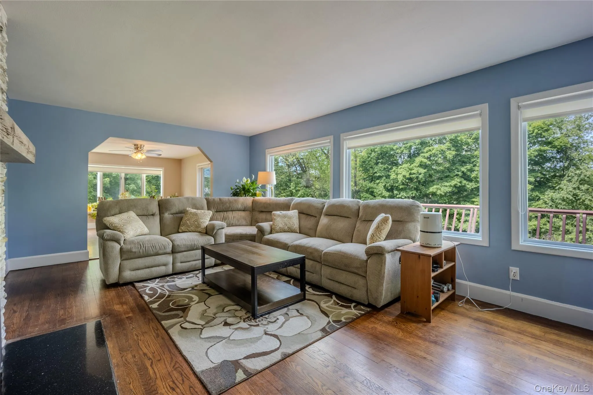 Plenty of natural lighting & Hardwood floors Plenty of natural lighting & Hardwood floors