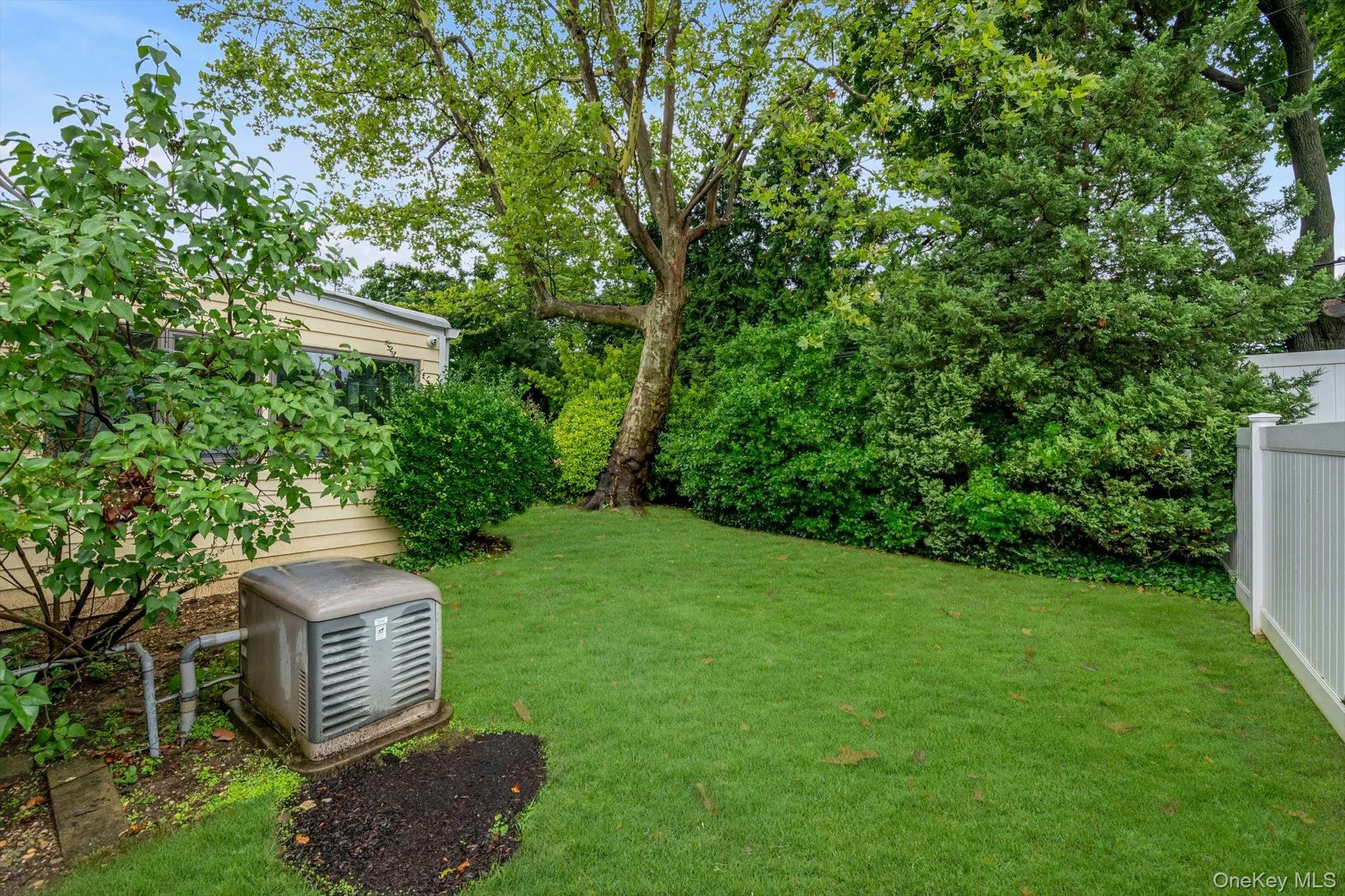 Backyard Backyard