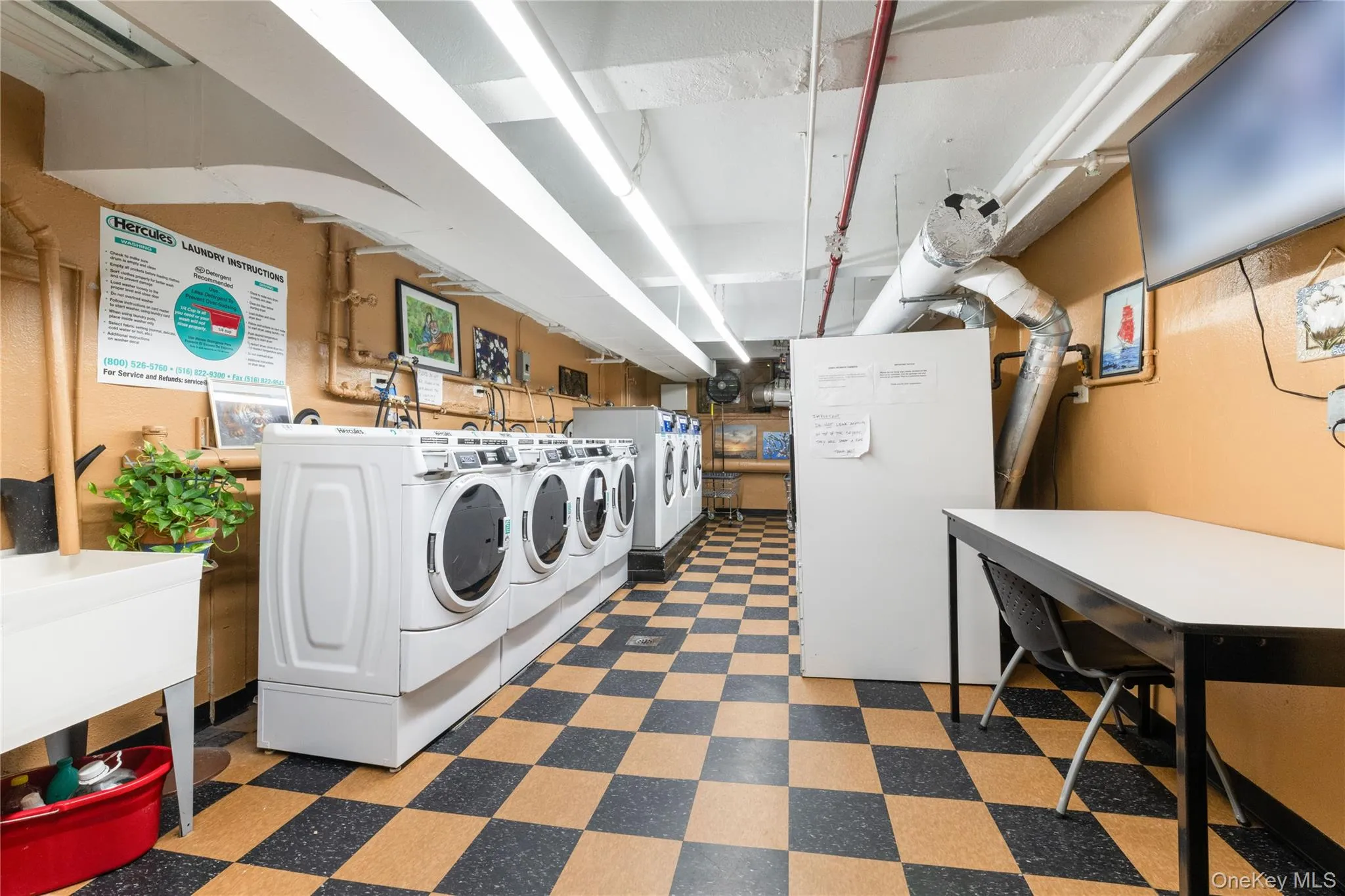 10420 68th Drive, New York, NY, 2 Bedrooms Bedrooms, 5 Rooms Rooms,1 BathroomBathrooms,Residential,For Rent,68th,0,1003836 10420 68th Drive, New York, NY, 2 Bedrooms Bedrooms, 5 Rooms Rooms,1 BathroomBathrooms,Residential,For Rent,68th,0,1003836