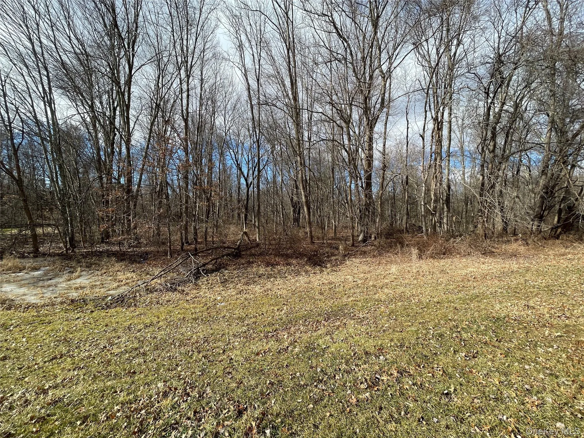 Rt-9G, Rhinebeck, NY, ,Land,For Rent,Rt-9G,0,1003878 Rt-9G, Rhinebeck, NY, ,Land,For Rent,Rt-9G,0,1003878