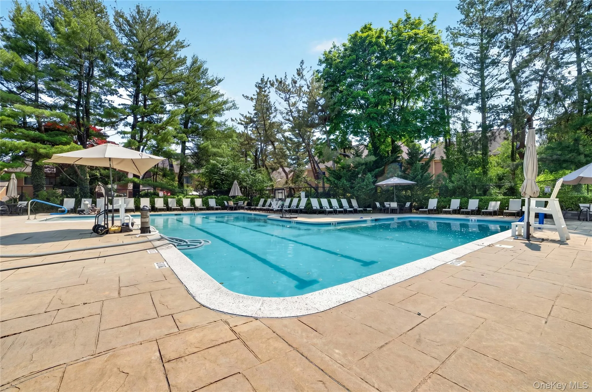 218 Tree Top Crescent, Rye Town, NY, 2 Bedrooms Bedrooms, 5 Rooms Rooms,1 BathroomBathrooms,Residential,For Rent,Tree Top,0,1003887 218 Tree Top Crescent, Rye Town, NY, 2 Bedrooms Bedrooms, 5 Rooms Rooms,1 BathroomBathrooms,Residential,For Rent,Tree Top,0,1003887