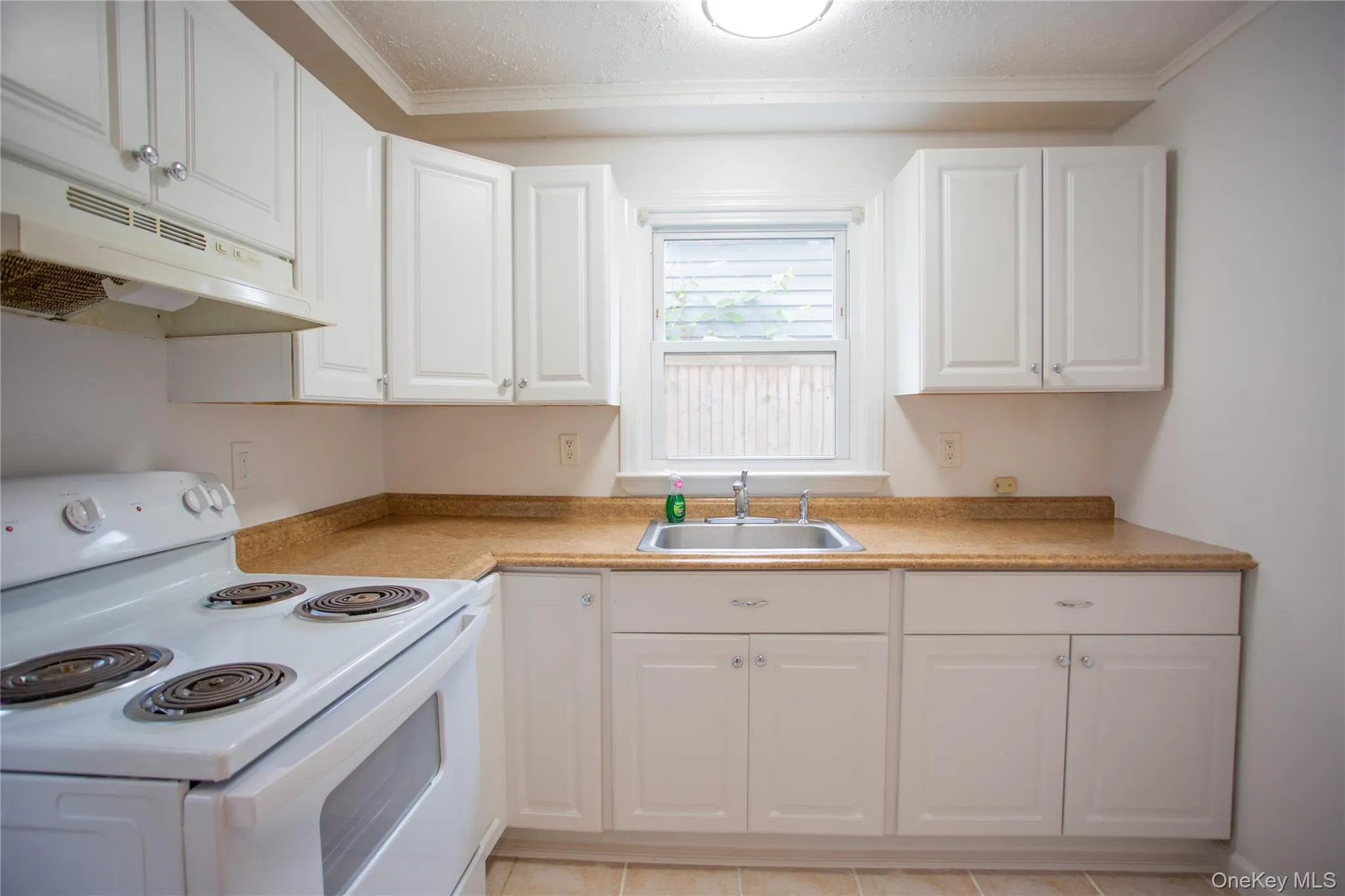 133 Cleveland Avenue, Long Beach, NY, 2 Bedrooms Bedrooms, 5 Rooms Rooms,1 BathroomBathrooms,Residential Lease,For Rent,Cleveland,0,1003895 133 Cleveland Avenue, Long Beach, NY, 2 Bedrooms Bedrooms, 5 Rooms Rooms,1 BathroomBathrooms,Residential Lease,For Rent,Cleveland,0,1003895