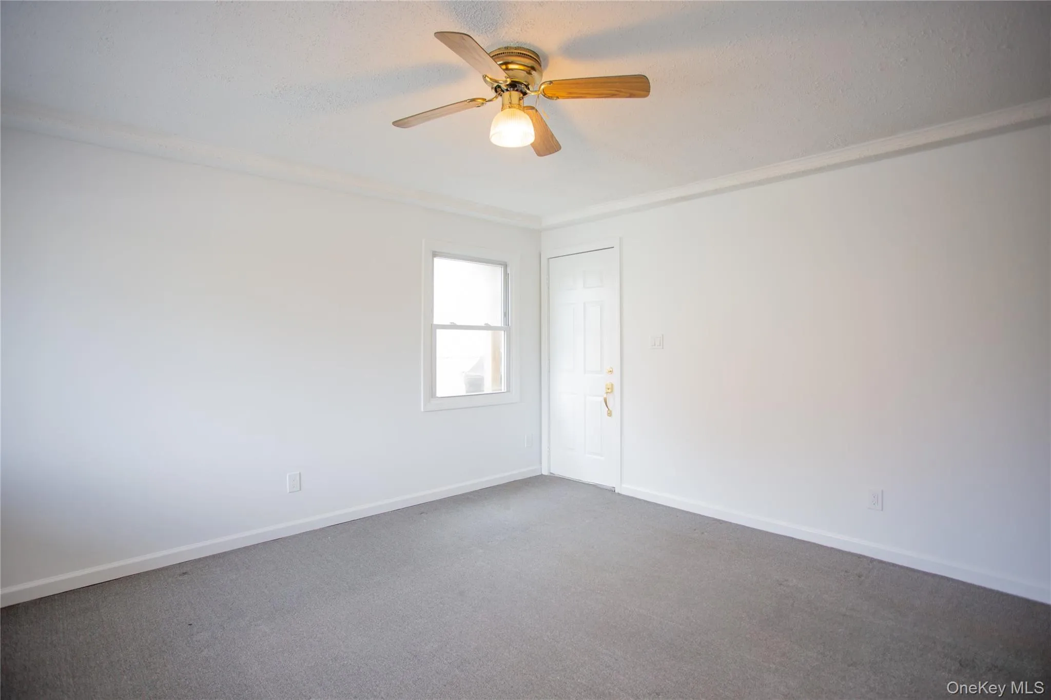 133 Cleveland Avenue, Long Beach, NY, 2 Bedrooms Bedrooms, 5 Rooms Rooms,1 BathroomBathrooms,Residential Lease,For Rent,Cleveland,0,1003895 133 Cleveland Avenue, Long Beach, NY, 2 Bedrooms Bedrooms, 5 Rooms Rooms,1 BathroomBathrooms,Residential Lease,For Rent,Cleveland,0,1003895
