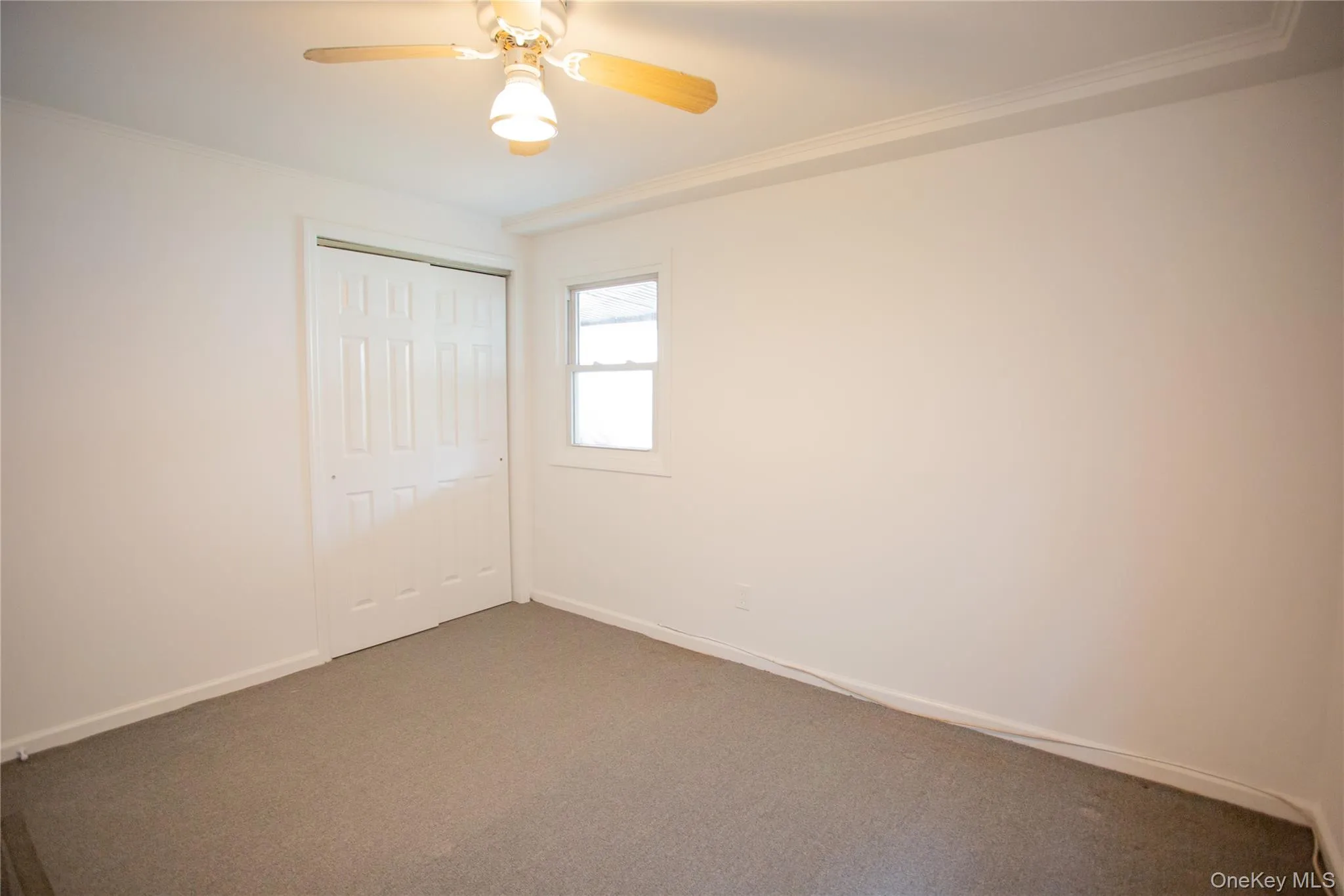 133 Cleveland Avenue, Long Beach, NY, 2 Bedrooms Bedrooms, 5 Rooms Rooms,1 BathroomBathrooms,Residential Lease,For Rent,Cleveland,0,1003895 133 Cleveland Avenue, Long Beach, NY, 2 Bedrooms Bedrooms, 5 Rooms Rooms,1 BathroomBathrooms,Residential Lease,For Rent,Cleveland,0,1003895