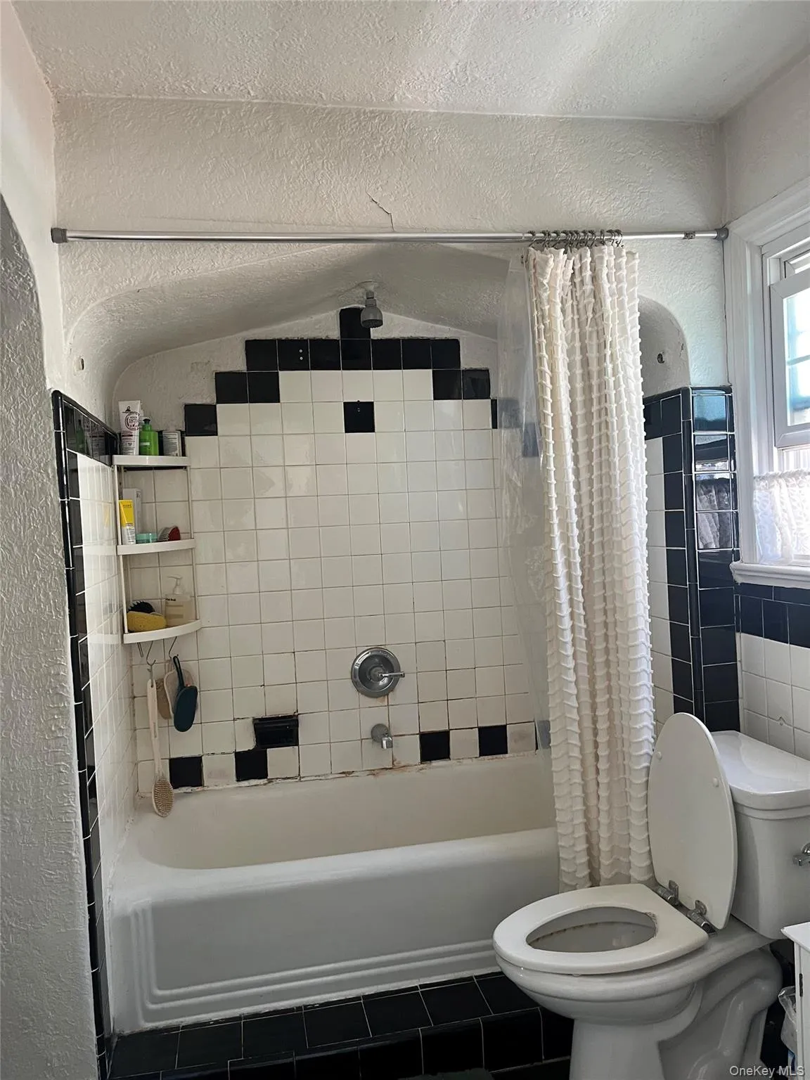 24829 Cambria Avenue, New York, NY, 3 Bedrooms Bedrooms, 7 Rooms Rooms,1 BathroomBathrooms,Residential Lease,For Rent,Cambria,0,1003902 24829 Cambria Avenue, New York, NY, 3 Bedrooms Bedrooms, 7 Rooms Rooms,1 BathroomBathrooms,Residential Lease,For Rent,Cambria,0,1003902