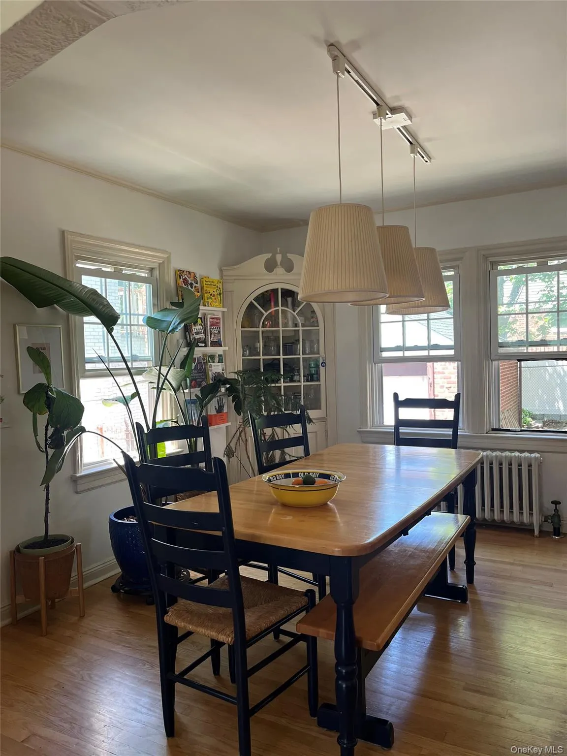 24829 Cambria Avenue, New York, NY, 3 Bedrooms Bedrooms, 7 Rooms Rooms,1 BathroomBathrooms,Residential Lease,For Rent,Cambria,0,1003902 24829 Cambria Avenue, New York, NY, 3 Bedrooms Bedrooms, 7 Rooms Rooms,1 BathroomBathrooms,Residential Lease,For Rent,Cambria,0,1003902