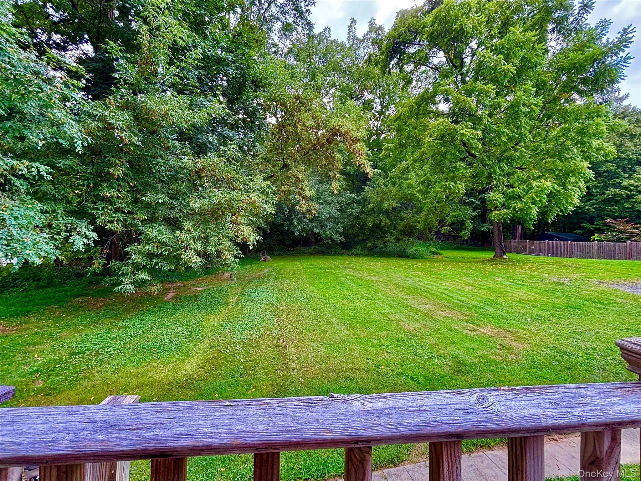 Backyard Backyard