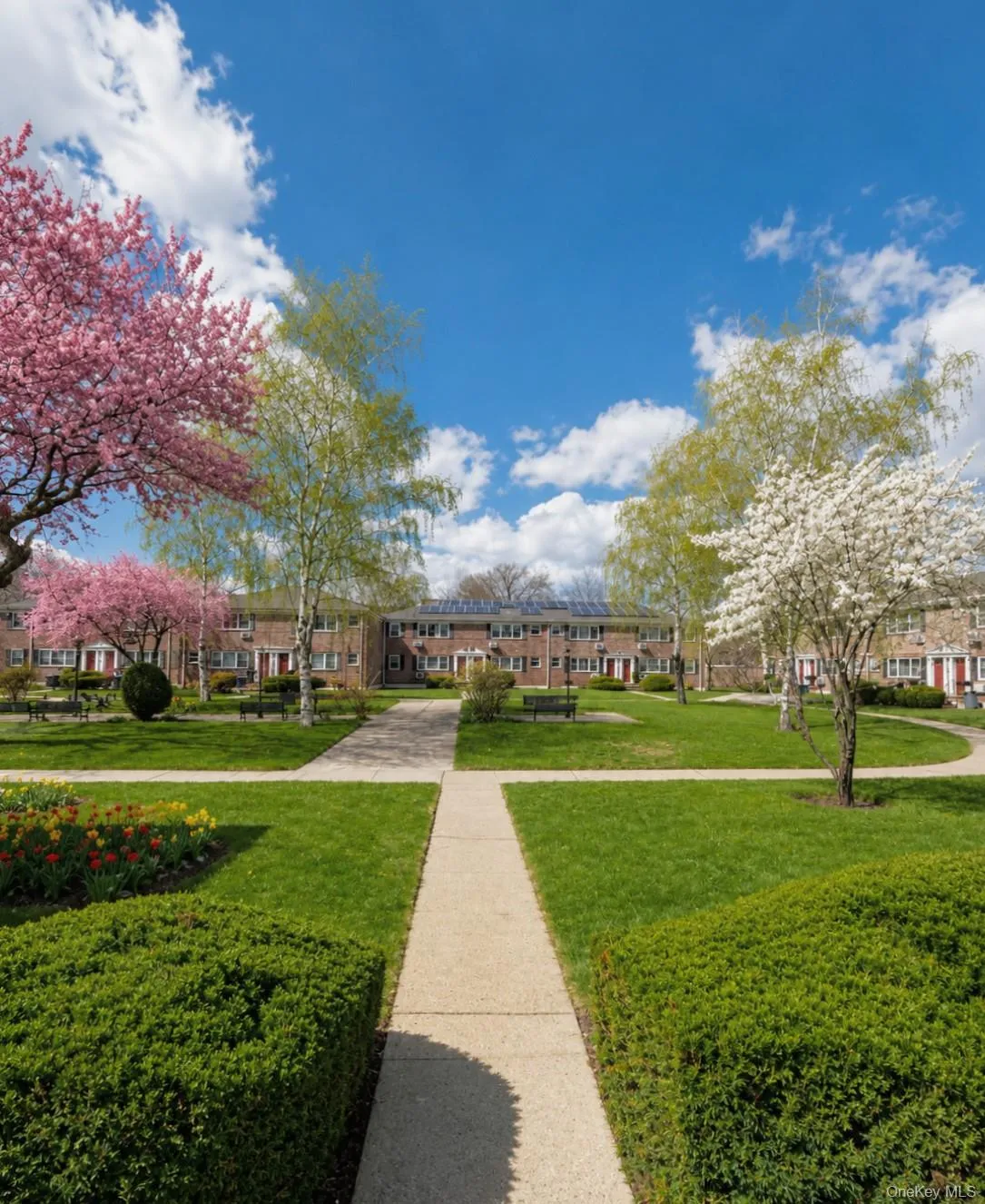 150-71 70rd, New York, NY, 2 Bedrooms Bedrooms, 4 Rooms Rooms,1 BathroomBathrooms,Residential,For Rent,70rd,0,1003938 150-71 70rd, New York, NY, 2 Bedrooms Bedrooms, 4 Rooms Rooms,1 BathroomBathrooms,Residential,For Rent,70rd,0,1003938