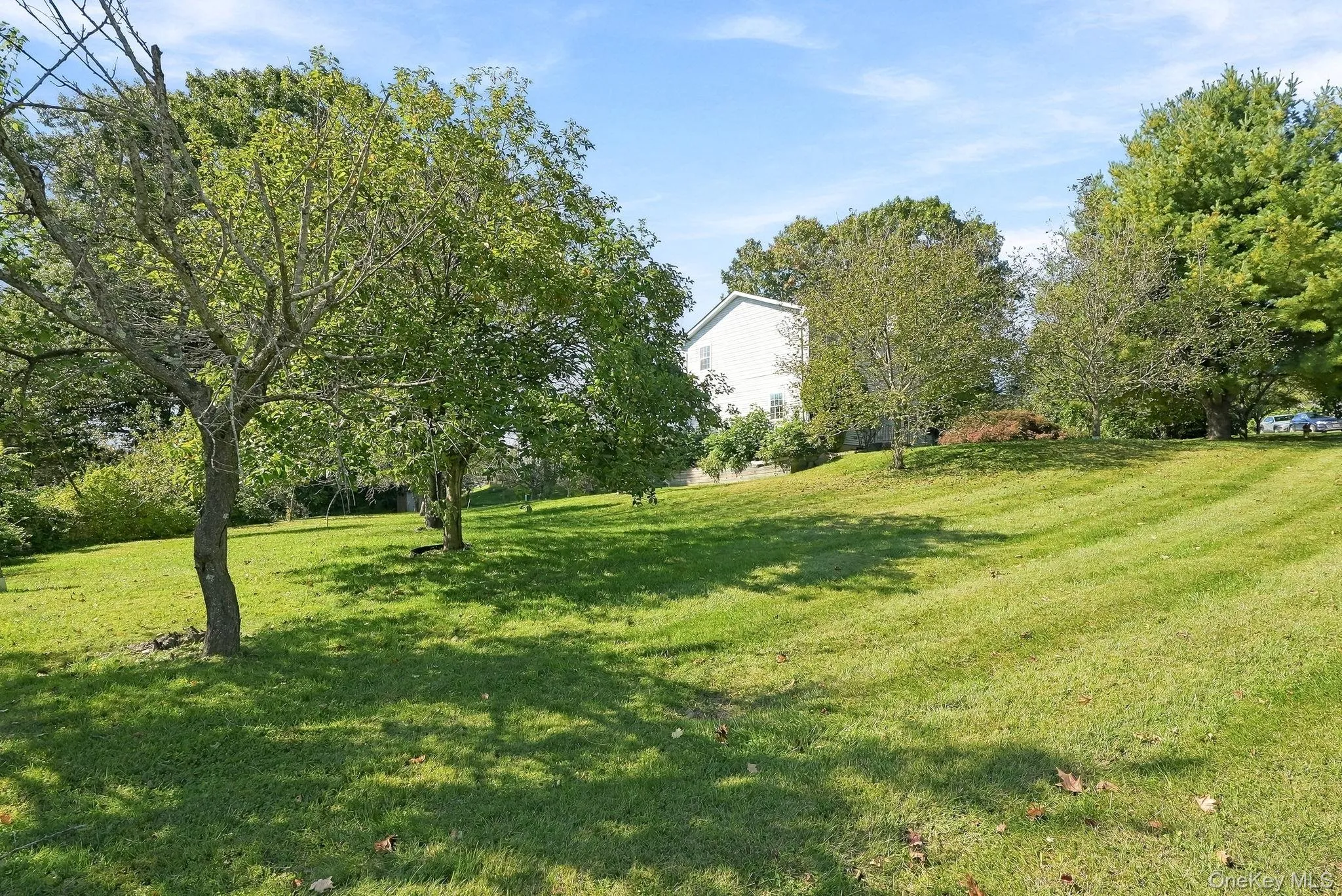 And there's a gentile slope that curves to the front of your new home. And there's a gentile slope that curves to the front of your new home.