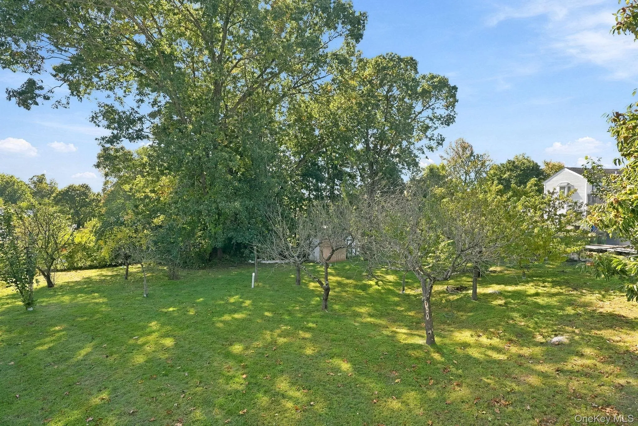 This lovely level yard is waiting for its next gardener! This lovely level yard is waiting for its next gardener!