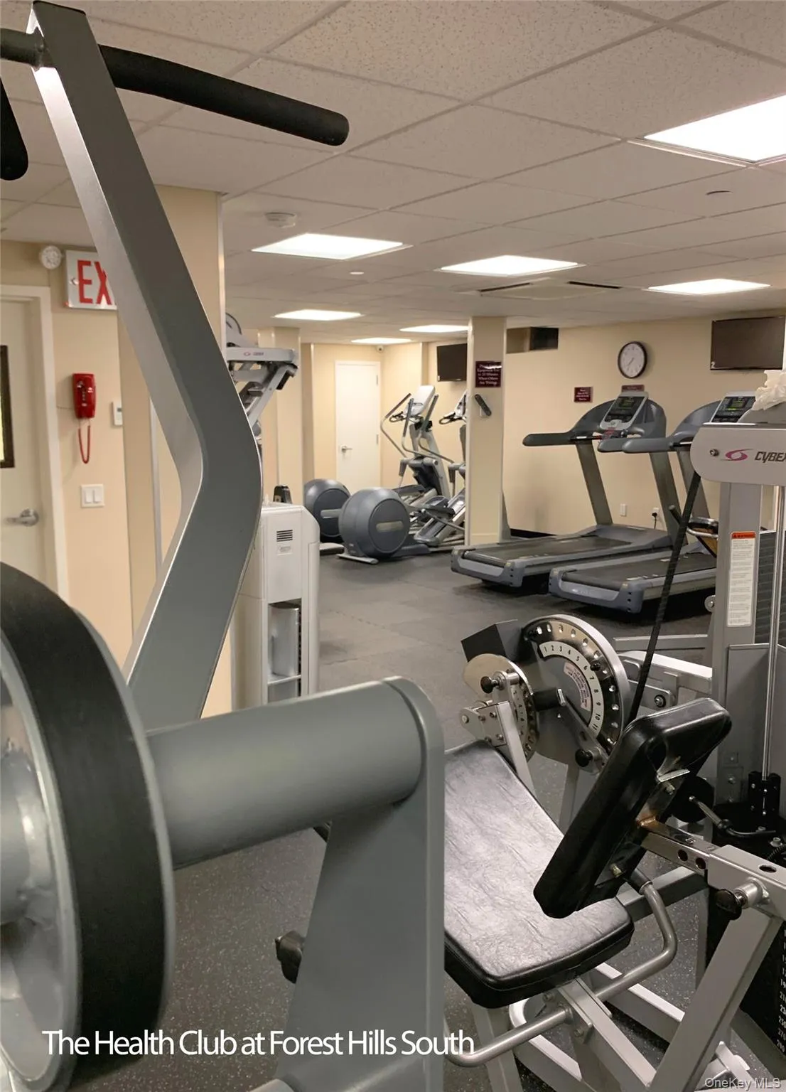 Gym Gym