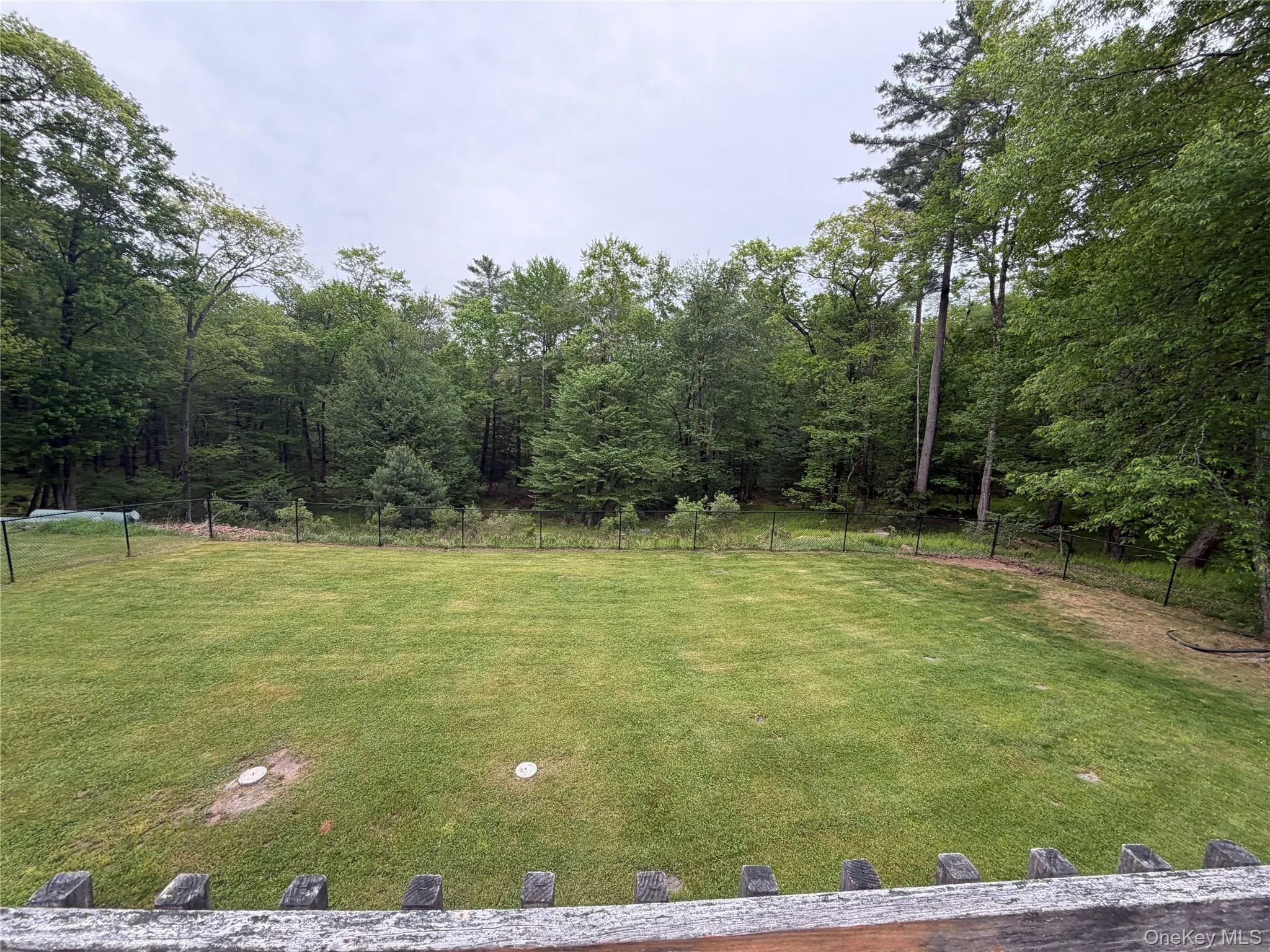 Back yard Back yard