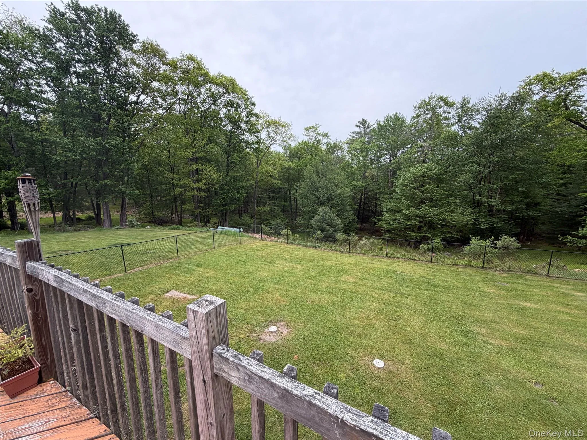 Back Yard Back Yard