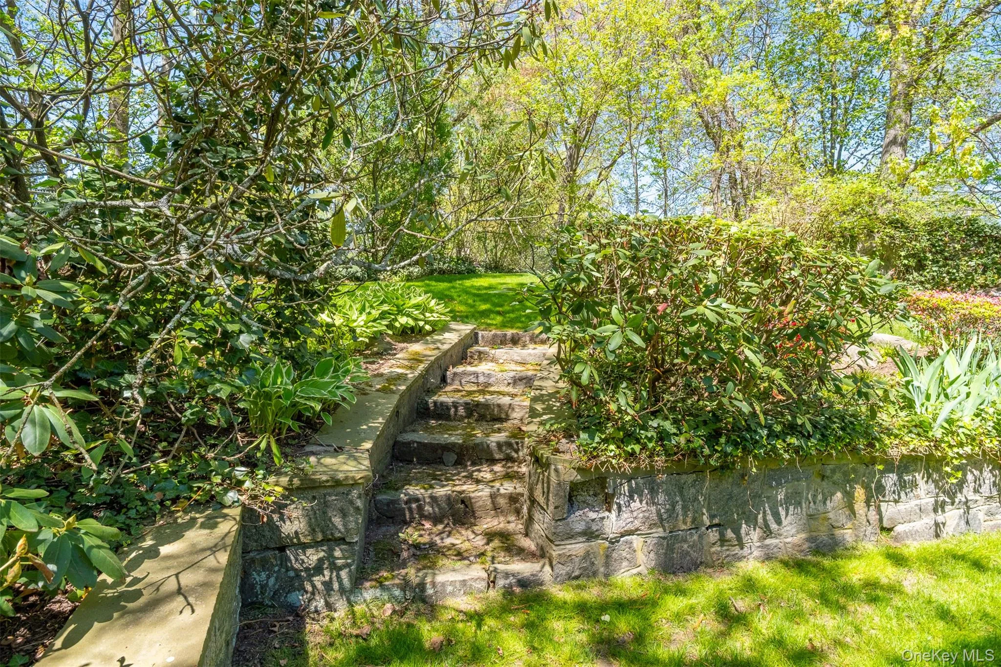 Terraced backyard Terraced backyard
