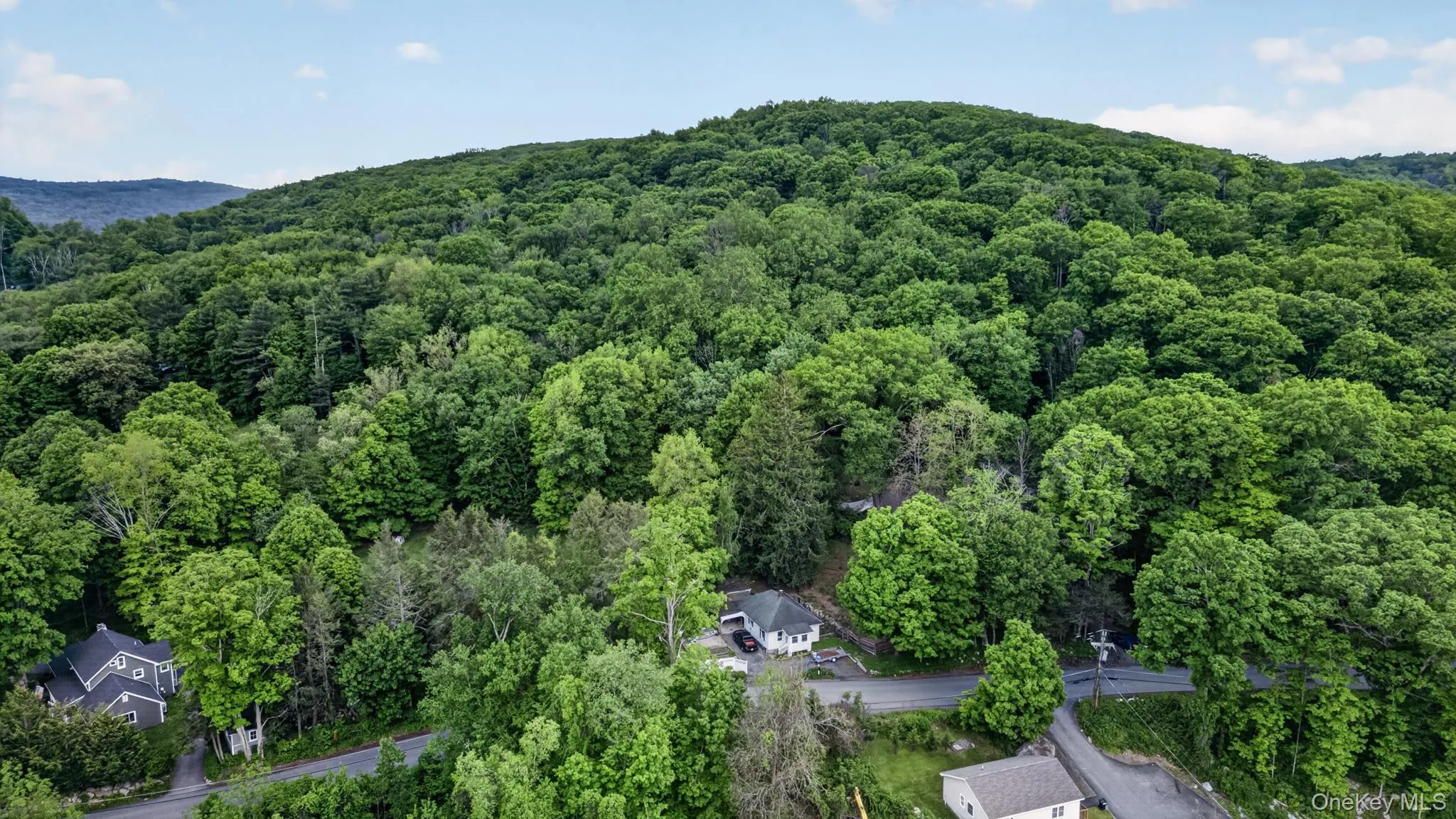 Wooded hillside property offering a secluded setting Wooded hillside property offering a secluded setting