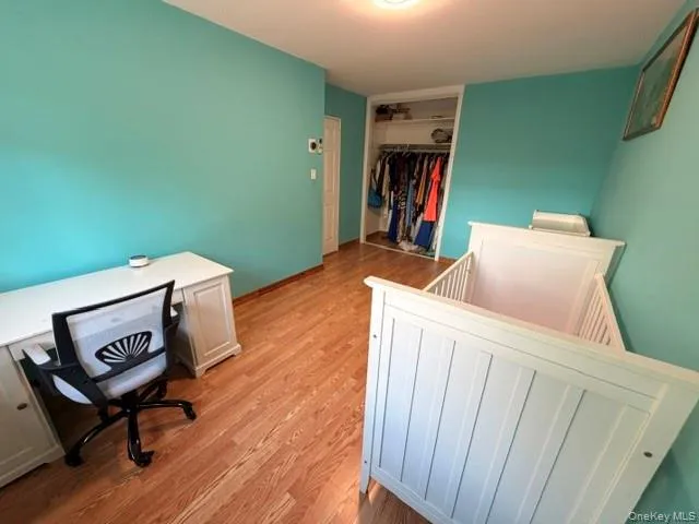 Room featuring wood-finish flooring, a vibrant blue wall, and an open closet space Room featuring wood-finish flooring, a vibrant blue wall, and an open closet space