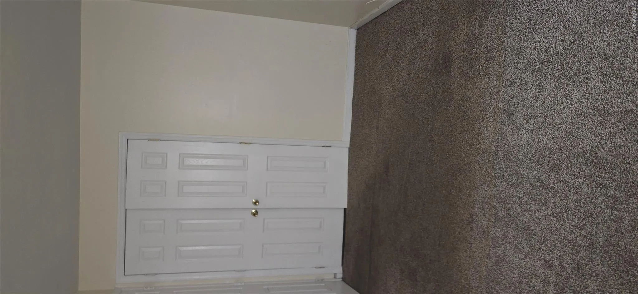 51 Sutter Avenue, New York, NY, 1 Bedroom Bedrooms, 4 Rooms Rooms,1 BathroomBathrooms,Residential Lease,For Rent,Sutter,0,1004007 51 Sutter Avenue, New York, NY, 1 Bedroom Bedrooms, 4 Rooms Rooms,1 BathroomBathrooms,Residential Lease,For Rent,Sutter,0,1004007