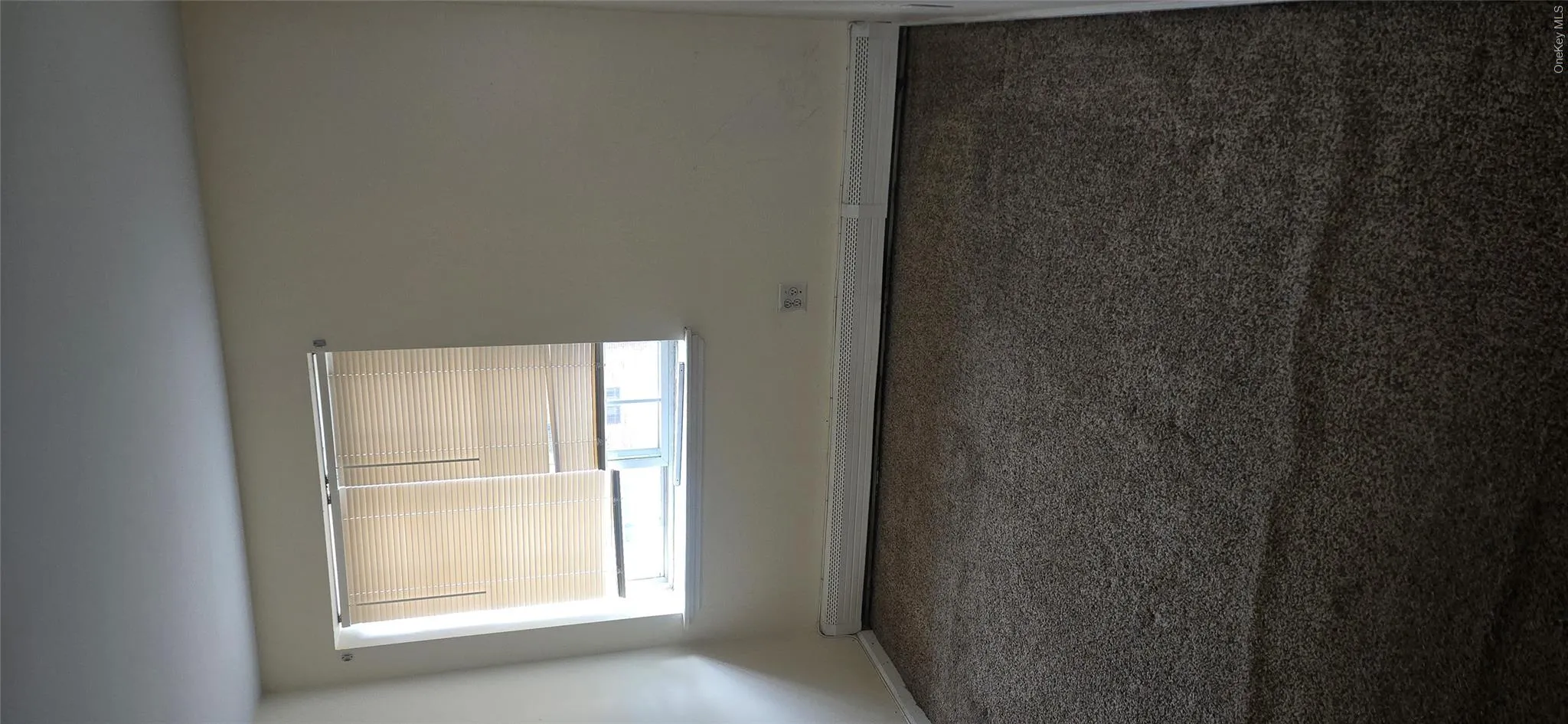 51 Sutter Avenue, New York, NY, 1 Bedroom Bedrooms, 4 Rooms Rooms,1 BathroomBathrooms,Residential Lease,For Rent,Sutter,0,1004007 51 Sutter Avenue, New York, NY, 1 Bedroom Bedrooms, 4 Rooms Rooms,1 BathroomBathrooms,Residential Lease,For Rent,Sutter,0,1004007