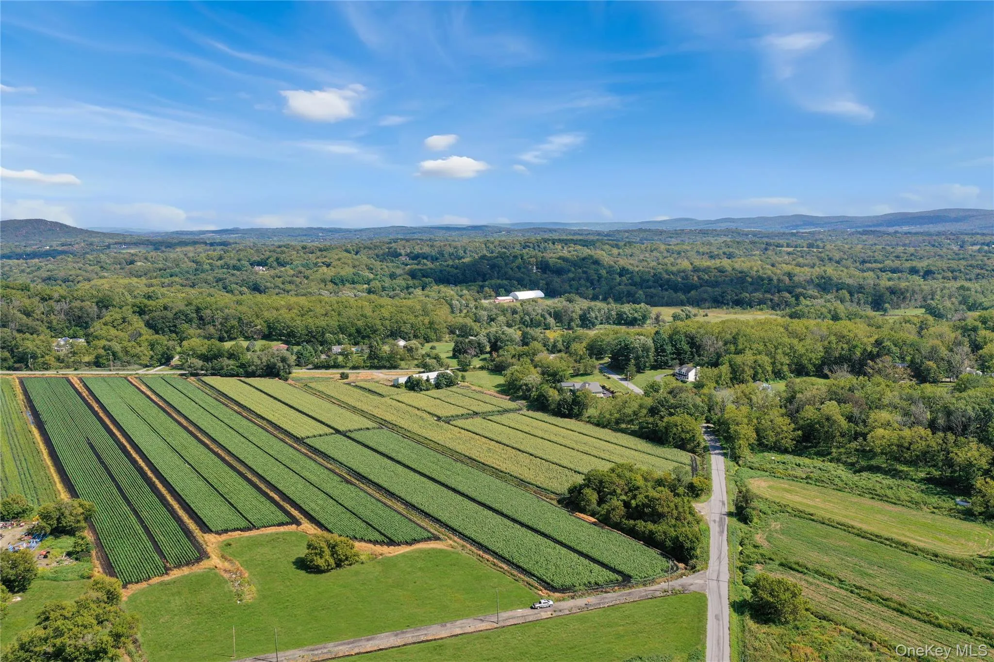 Overview of rural landscape with a heavily wooded area and extensive farmland Overview of rural landscape with a heavily wooded area and extensive farmland