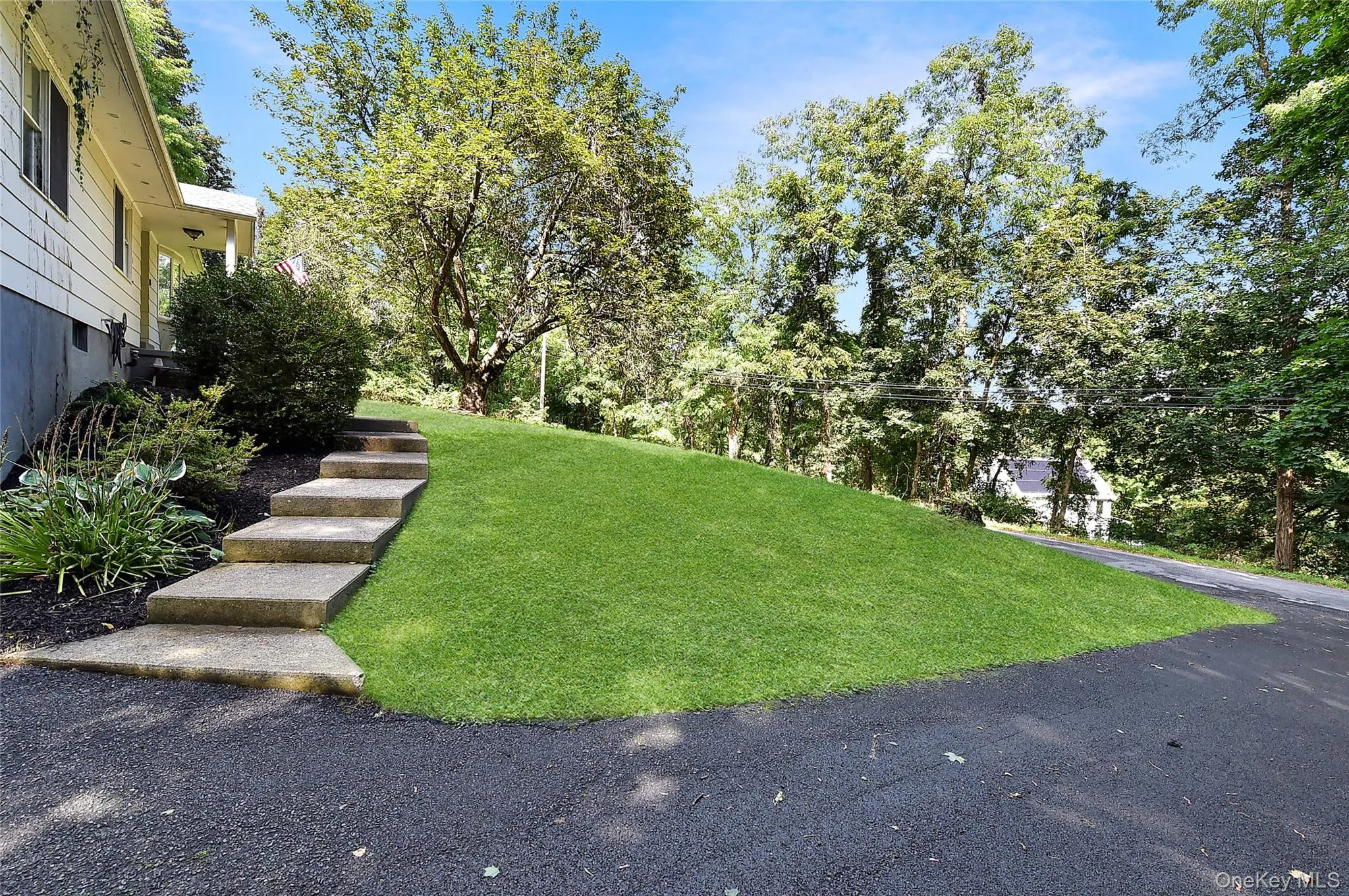View of grassy yard featuring view of wooded area View of grassy yard featuring view of wooded area