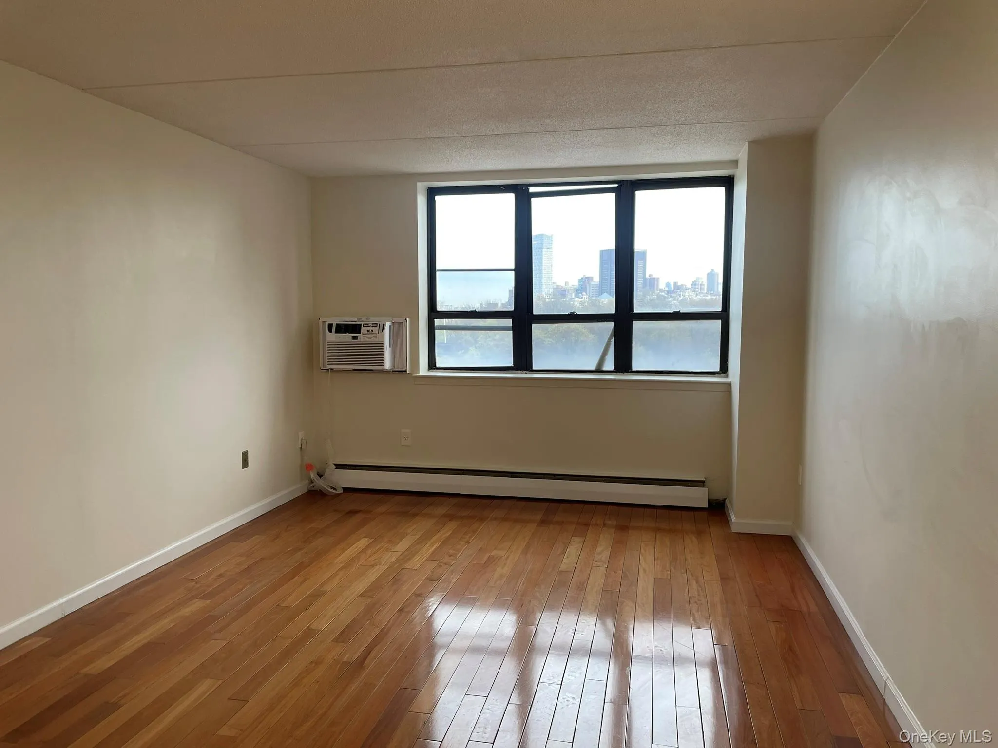 Living room with a baseboard radiator, a wall unit AC, hardwood / wood-style floors, and baseboards Living room with a baseboard radiator, a wall unit AC, hardwood / wood-style floors, and baseboards