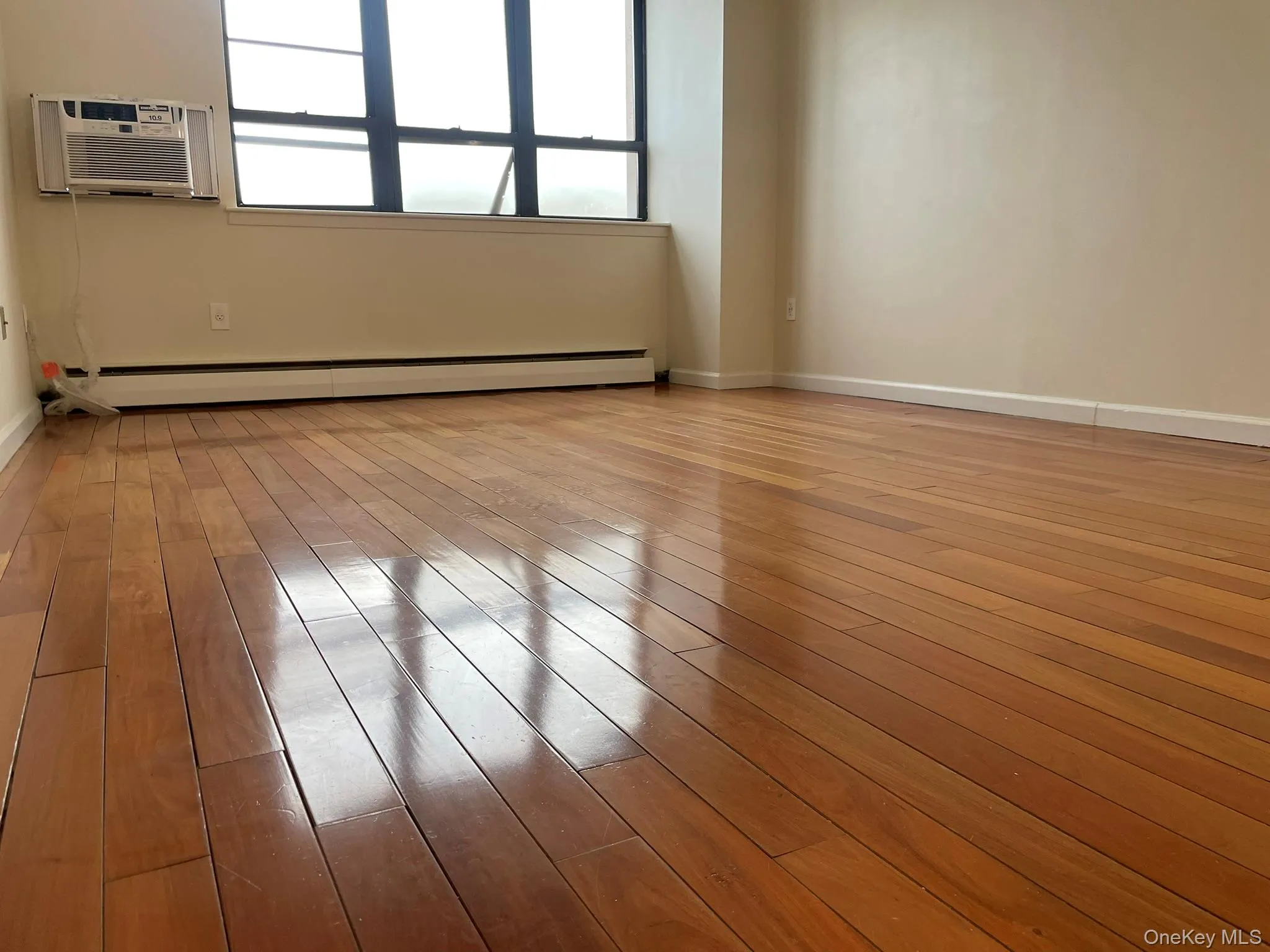 Beautiful hardwood / wood-style floors, a wall mounted AC, and baseboards Beautiful hardwood / wood-style floors, a wall mounted AC, and baseboards