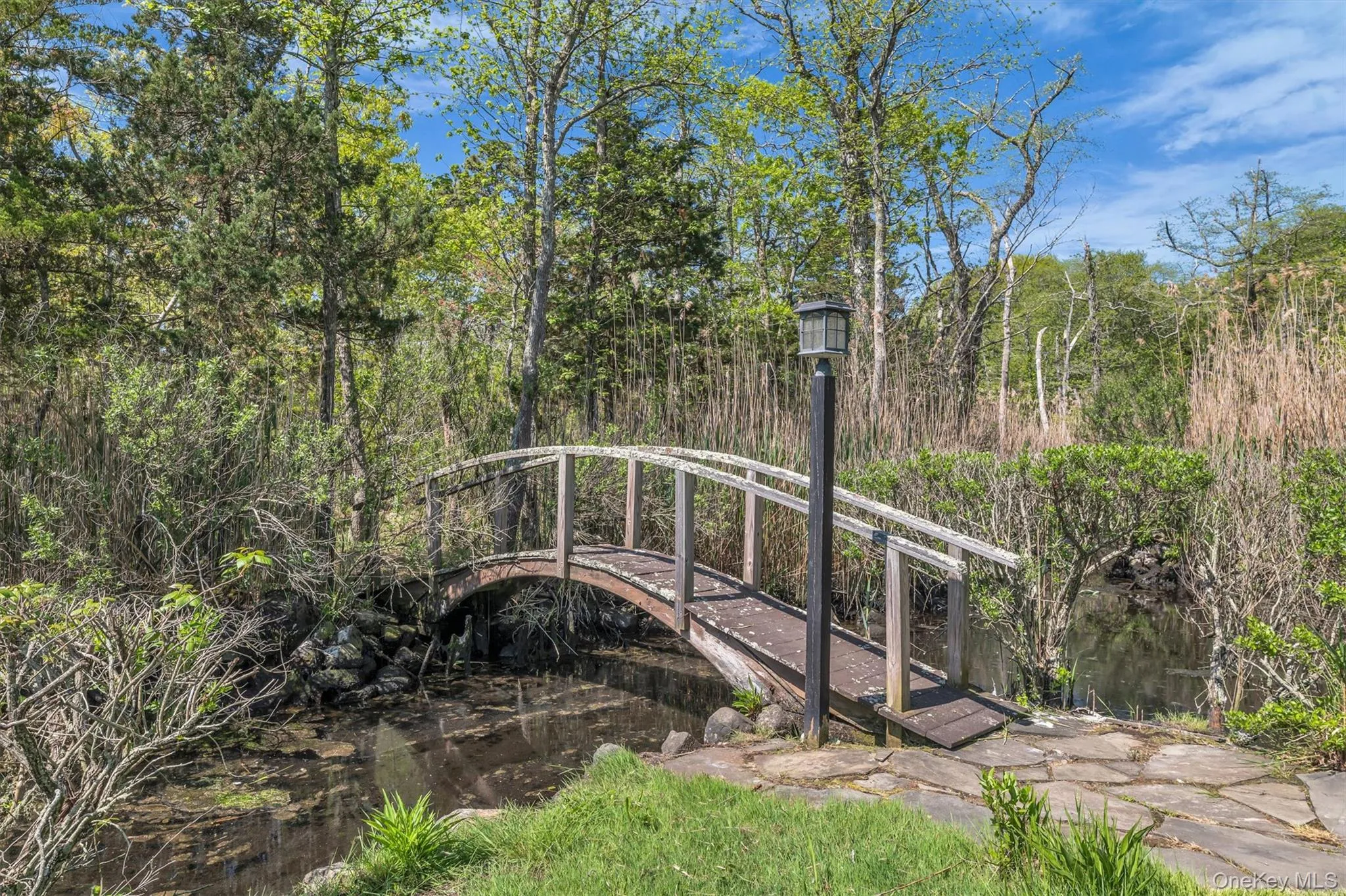 238 Beaver Dam Road, Brookhaven, NY, 3 Bedrooms Bedrooms, 8 Rooms Rooms,3 BathroomsBathrooms,Residential,For Rent,Beaver Dam,0,1004058 238 Beaver Dam Road, Brookhaven, NY, 3 Bedrooms Bedrooms, 8 Rooms Rooms,3 BathroomsBathrooms,Residential,For Rent,Beaver Dam,0,1004058