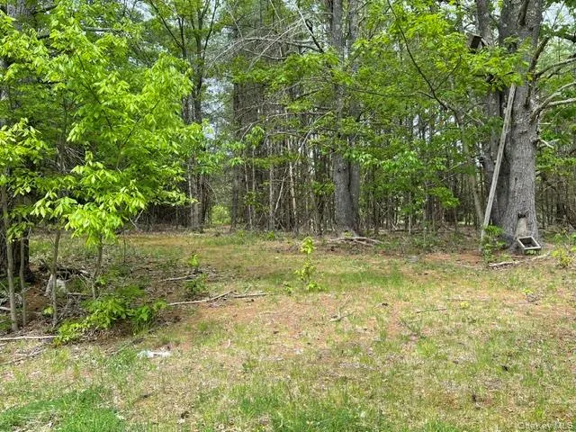 467 Roosevelt Avenue, Cairo, NY, ,Land,For Rent,Roosevelt,0,1004062 467 Roosevelt Avenue, Cairo, NY, ,Land,For Rent,Roosevelt,0,1004062