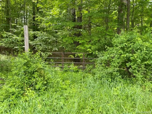 467 Roosevelt Avenue, Cairo, NY, ,Land,For Rent,Roosevelt,0,1004062 467 Roosevelt Avenue, Cairo, NY, ,Land,For Rent,Roosevelt,0,1004062
