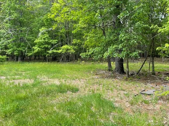 467 Roosevelt Avenue, Cairo, NY, ,Land,For Rent,Roosevelt,0,1004062 467 Roosevelt Avenue, Cairo, NY, ,Land,For Rent,Roosevelt,0,1004062