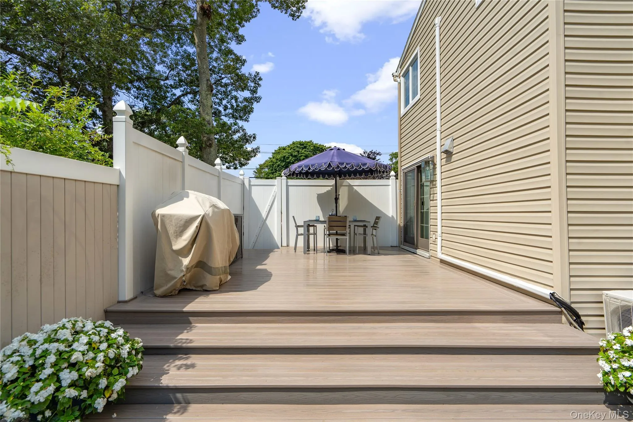 Expansive elevated deck with multi-level steps Expansive elevated deck with multi-level steps