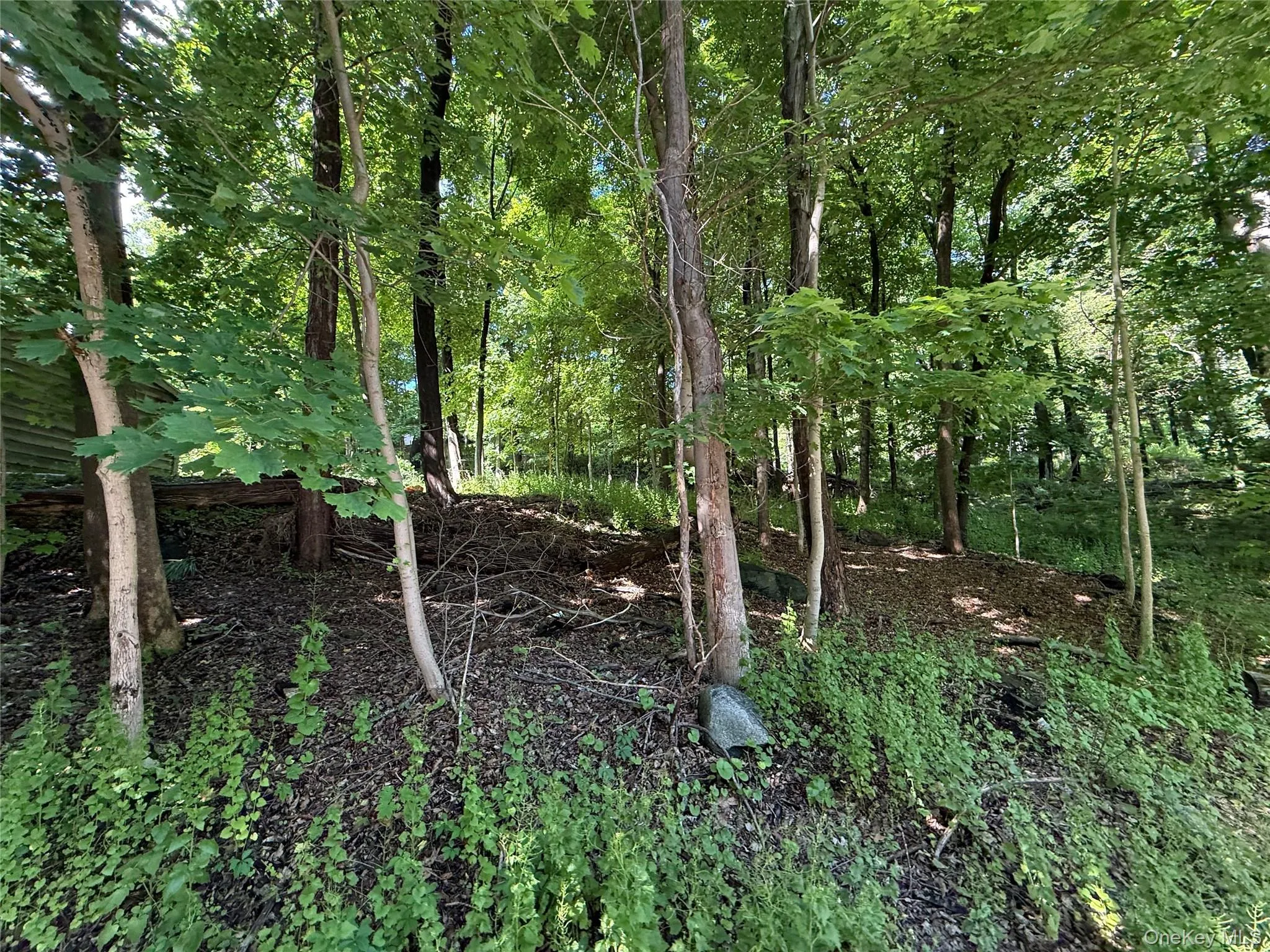Rt-292, Pawling, NY, ,Land,For Rent,Rt-292,0,1004079 Rt-292, Pawling, NY, ,Land,For Rent,Rt-292,0,1004079