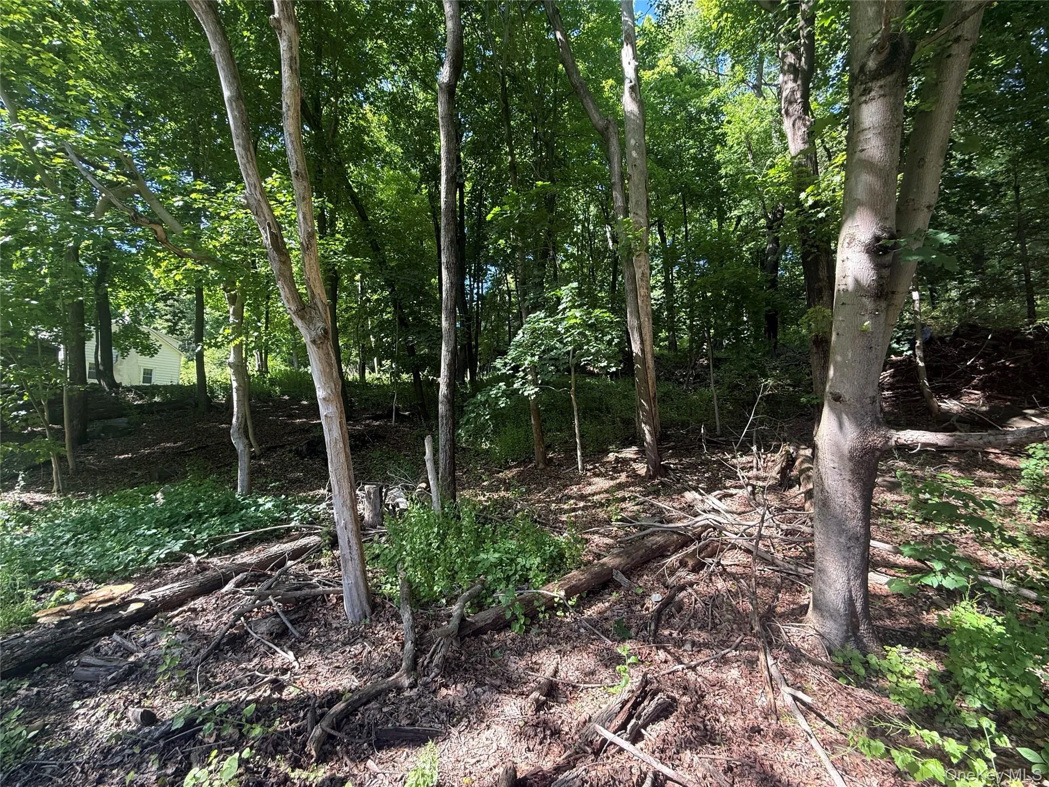 Rt-292, Pawling, NY, ,Land,For Rent,Rt-292,0,1004079 Rt-292, Pawling, NY, ,Land,For Rent,Rt-292,0,1004079