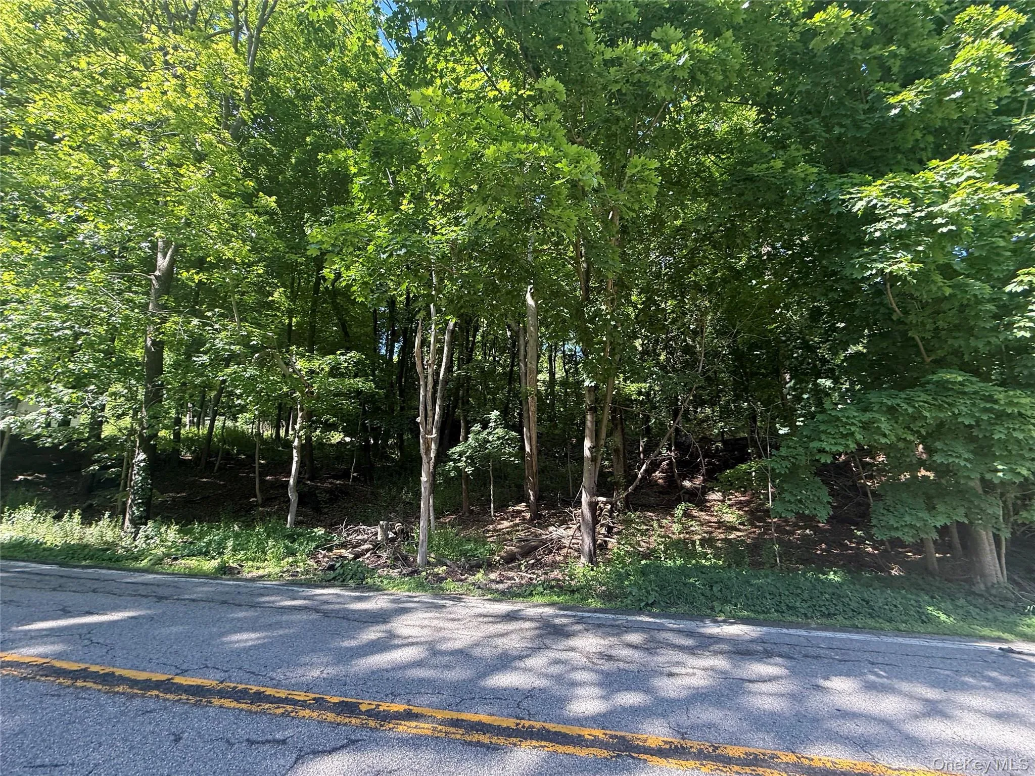 Rt-292, Pawling, NY, ,Land,For Rent,Rt-292,0,1004079 Rt-292, Pawling, NY, ,Land,For Rent,Rt-292,0,1004079