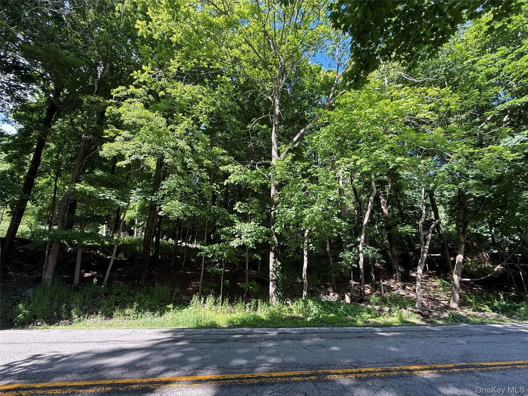 Rt-292, Pawling, NY, ,Land,For Rent,Rt-292,0,1004079 Rt-292, Pawling, NY, ,Land,For Rent,Rt-292,0,1004079
