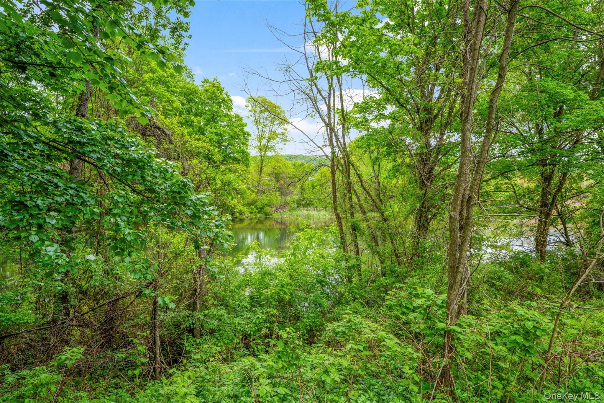 40 Burts Path, East Fishkill, NY, 4 Bedrooms Bedrooms, 12 Rooms Rooms,3 BathroomsBathrooms,Residential,For Rent,Burts,0,1004095 40 Burts Path, East Fishkill, NY, 4 Bedrooms Bedrooms, 12 Rooms Rooms,3 BathroomsBathrooms,Residential,For Rent,Burts,0,1004095