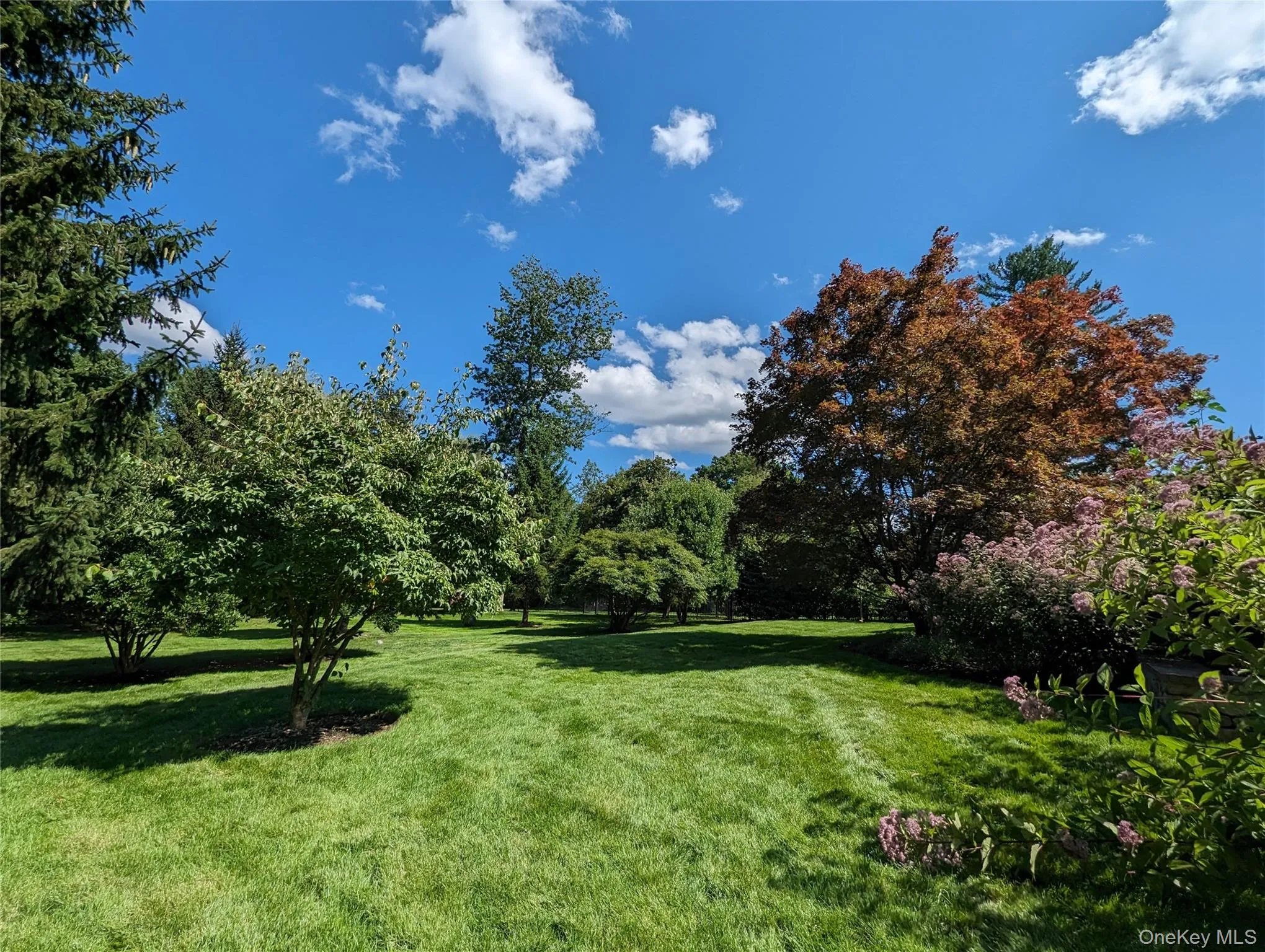 124 Lincoln Avenue, Harrison, NY, 6 Bedrooms Bedrooms, 13 Rooms Rooms,4 BathroomsBathrooms,Residential,For Rent,Lincoln,0,1004122 124 Lincoln Avenue, Harrison, NY, 6 Bedrooms Bedrooms, 13 Rooms Rooms,4 BathroomsBathrooms,Residential,For Rent,Lincoln,0,1004122