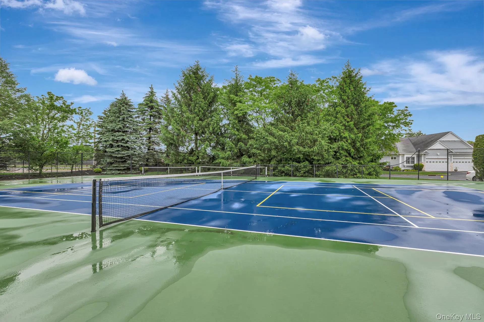 Tennis and Pickle Ball Tennis and Pickle Ball