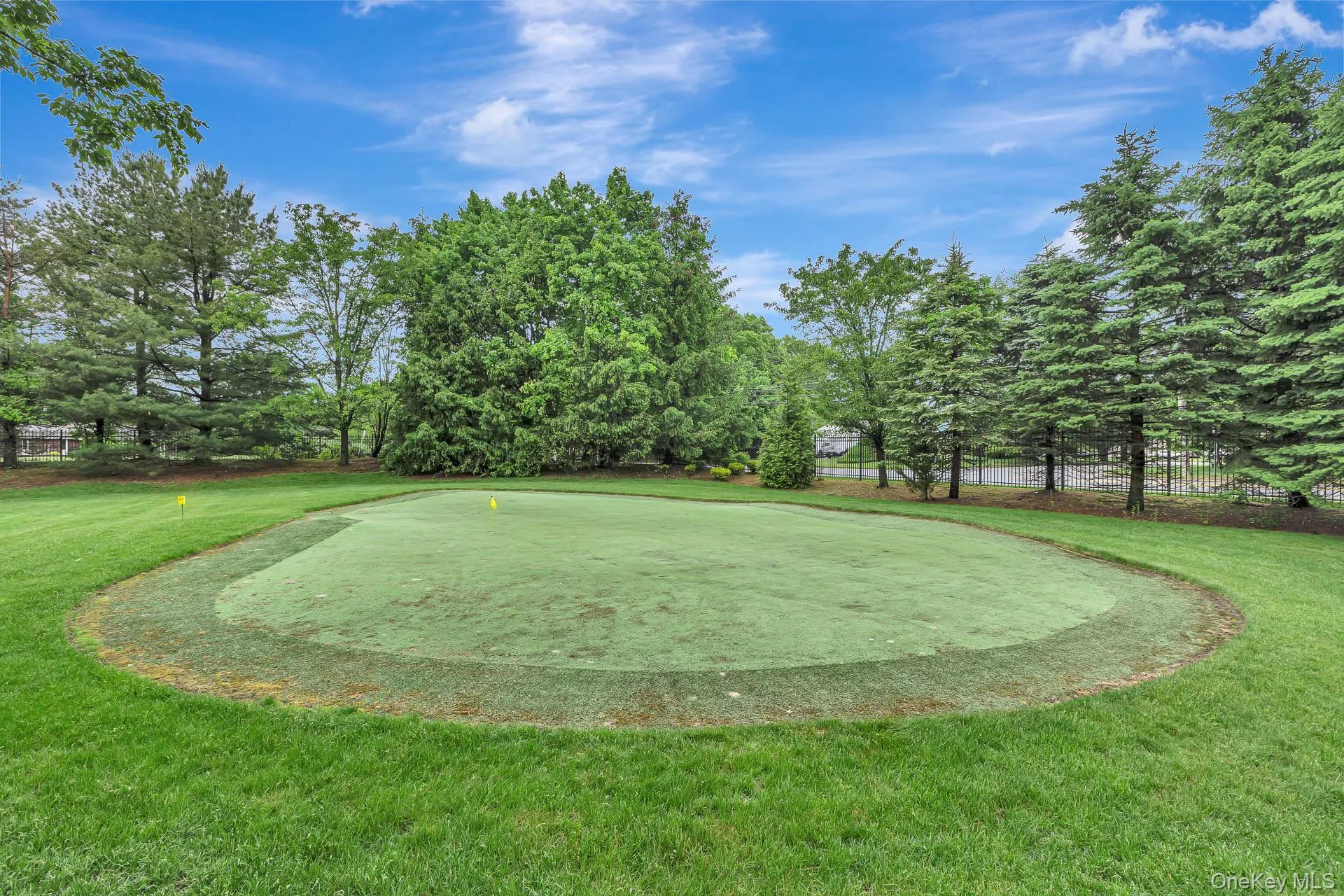 Putting Green Putting Green