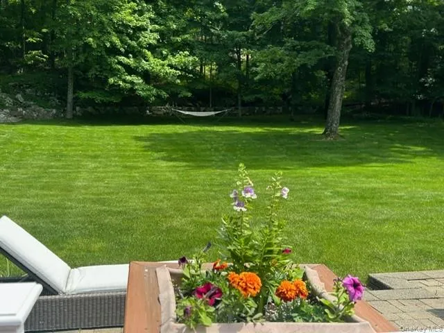 Back yard Back yard